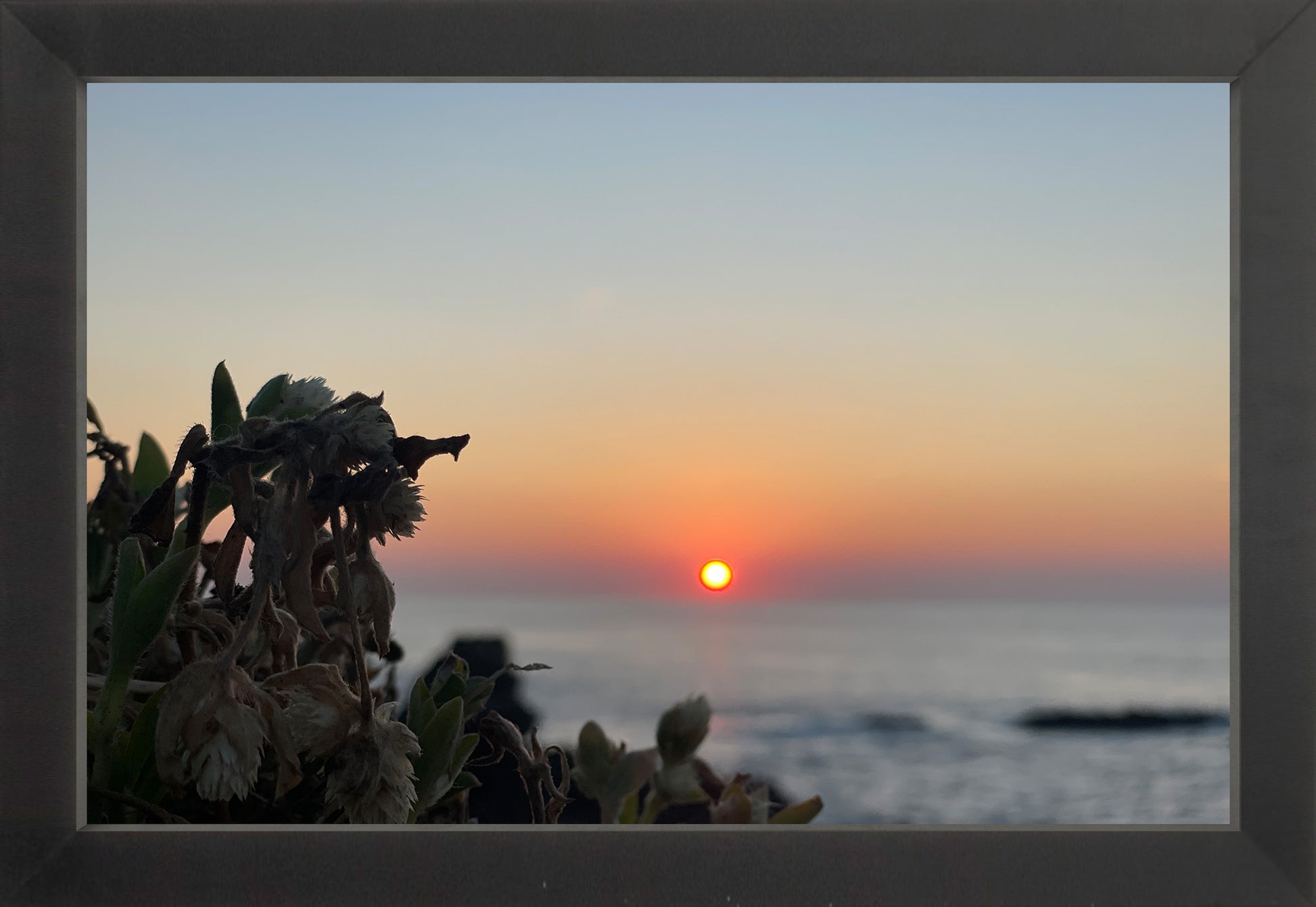 Sunbound