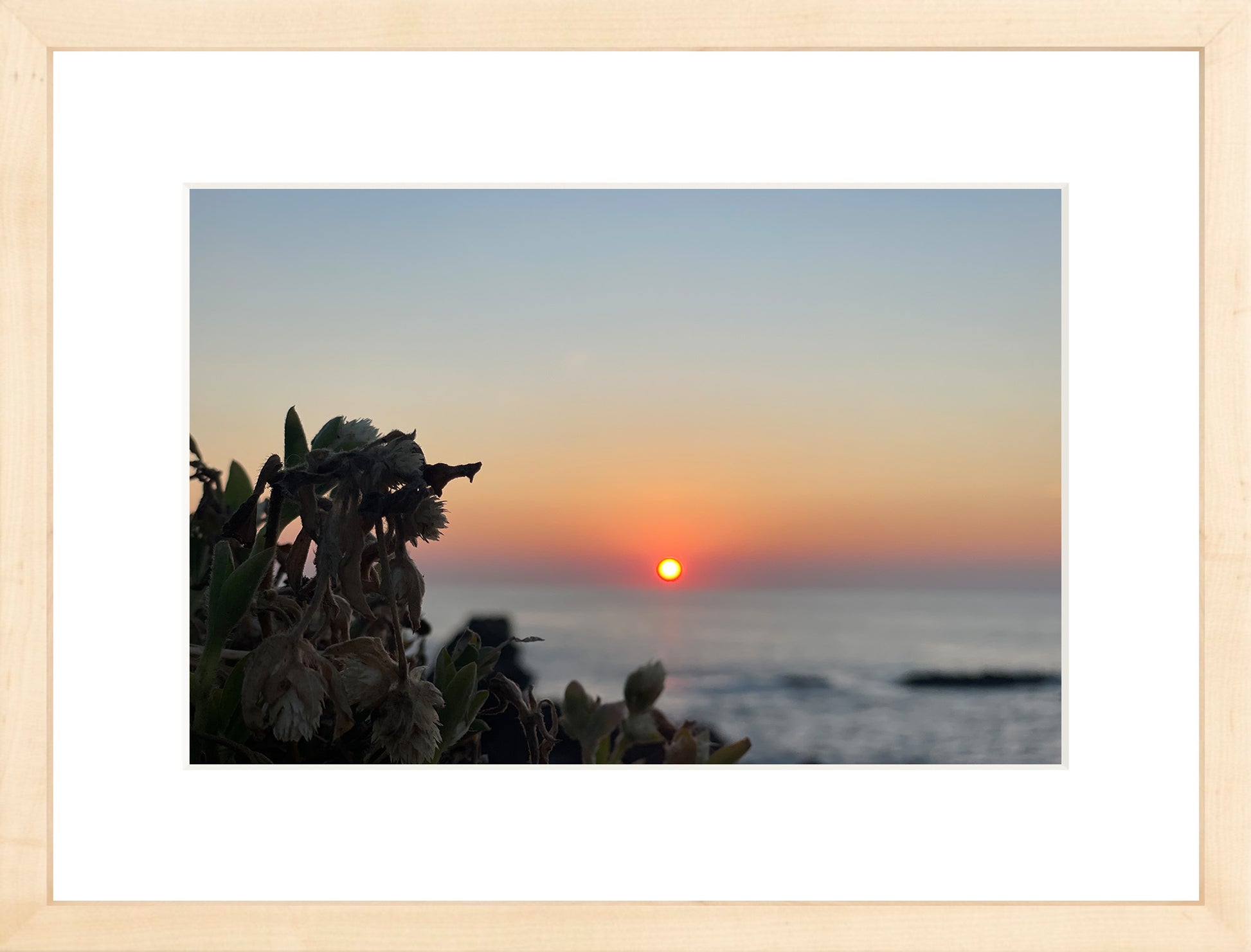 Sunbound