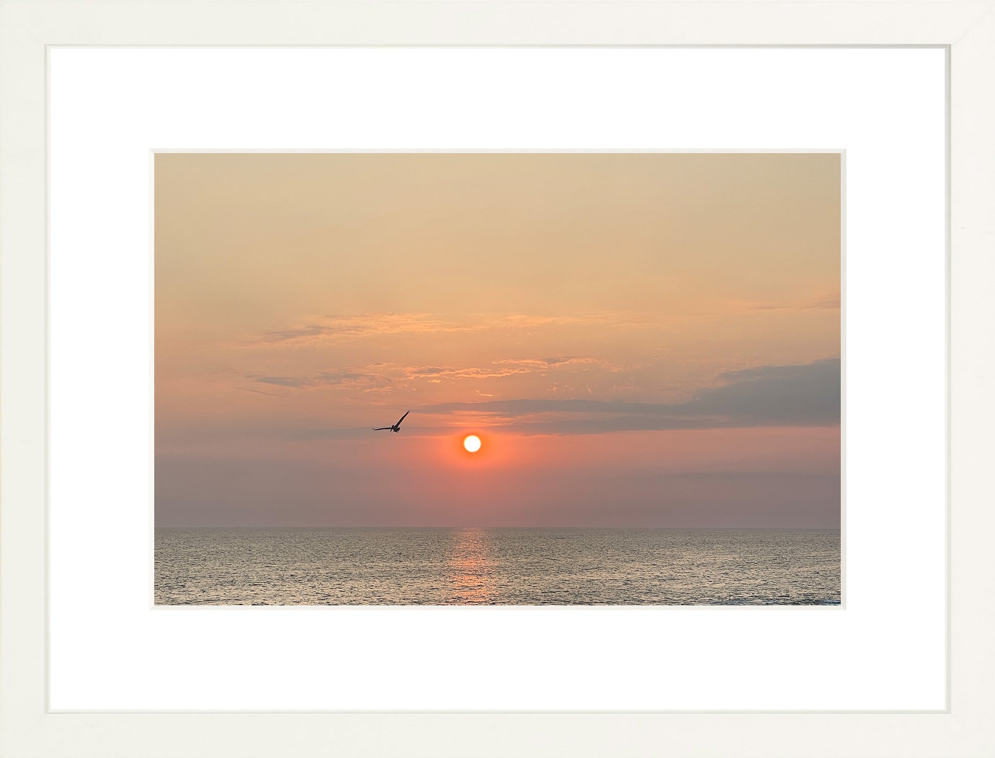 Flight