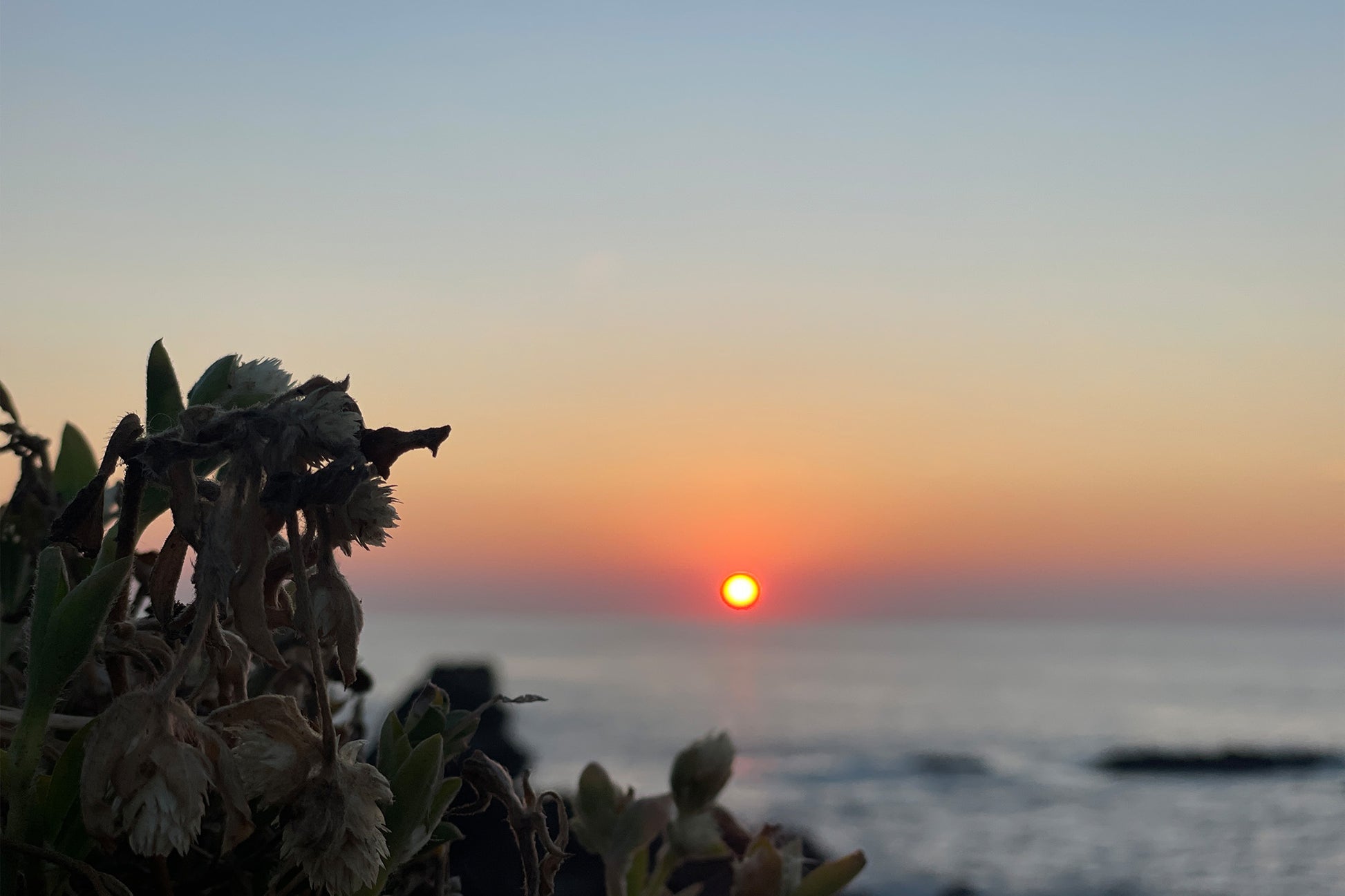 Sunbound