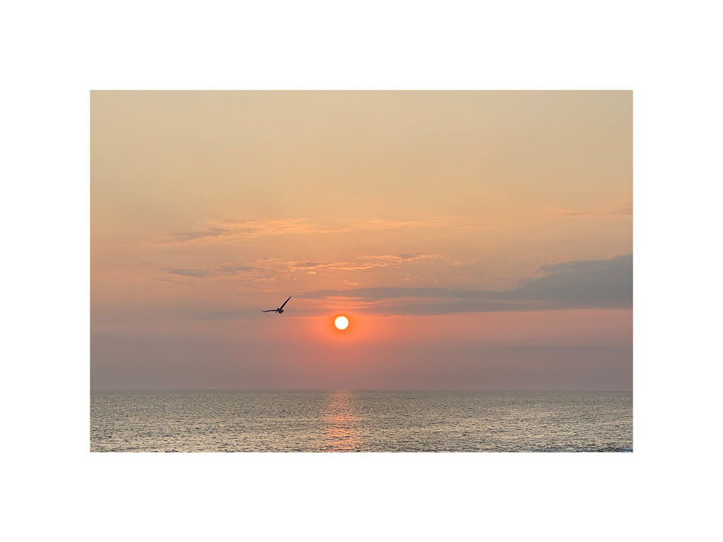 Flight
