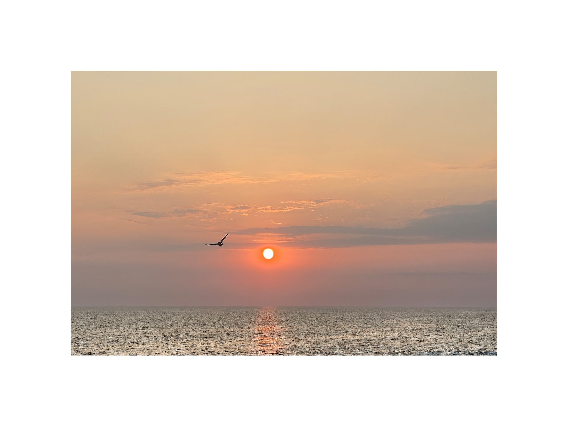 Flight