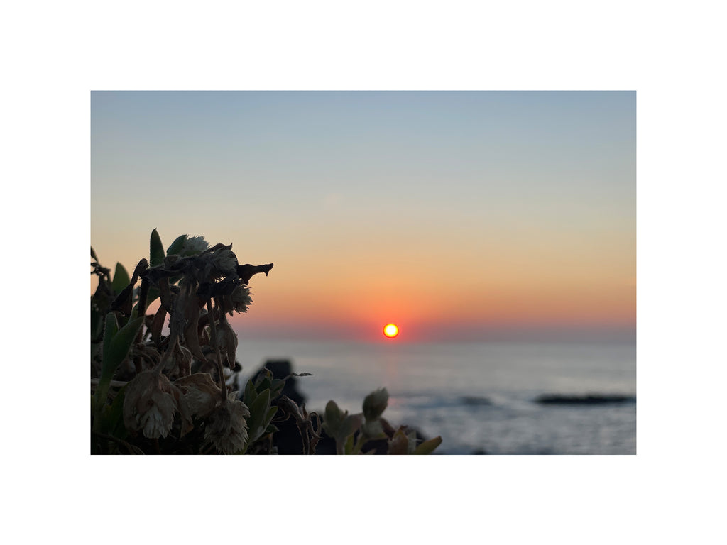 Sunbound