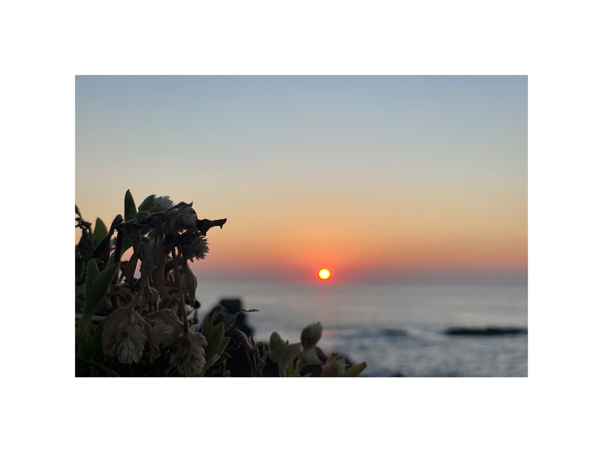 Sunbound
