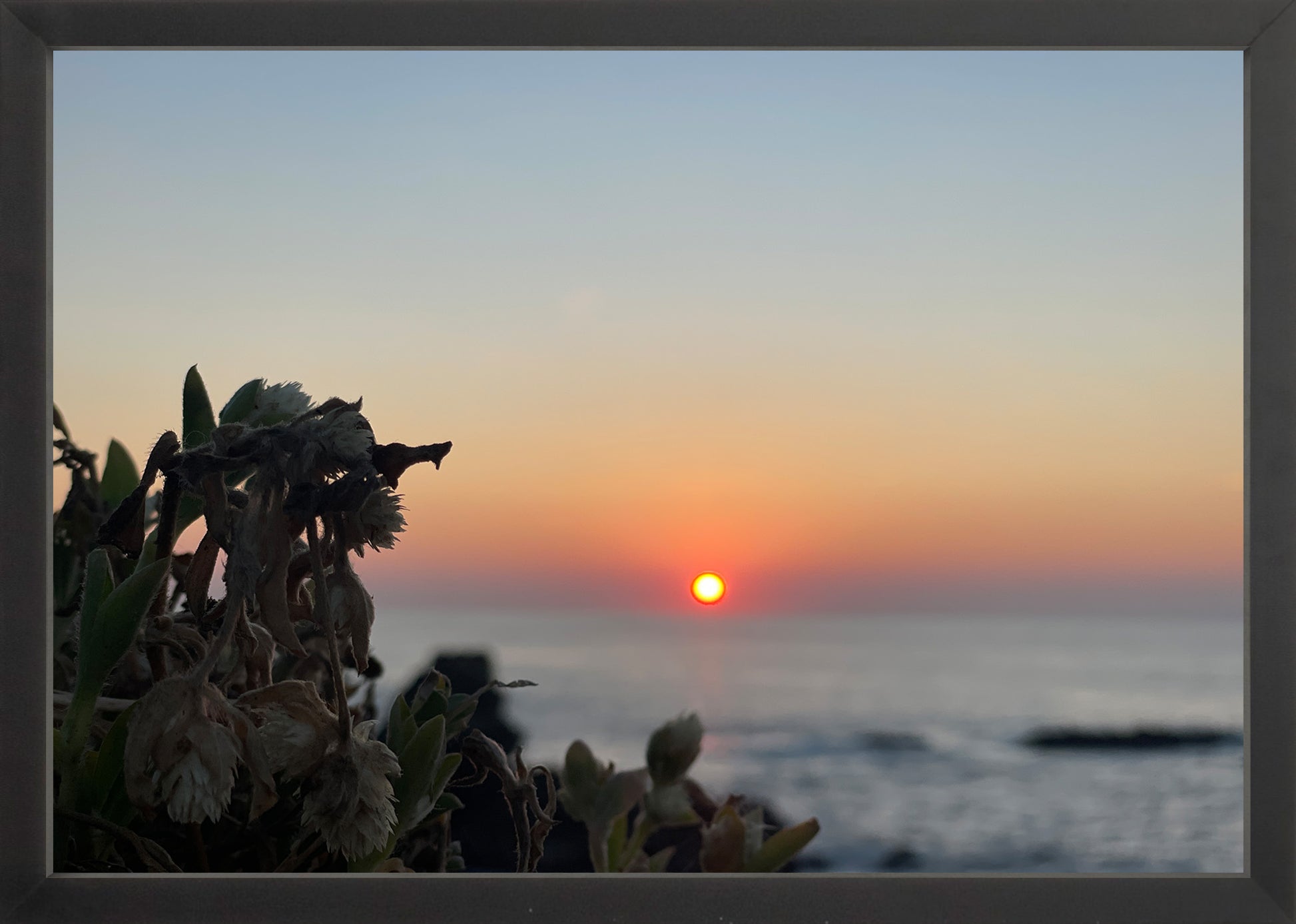 Sunbound