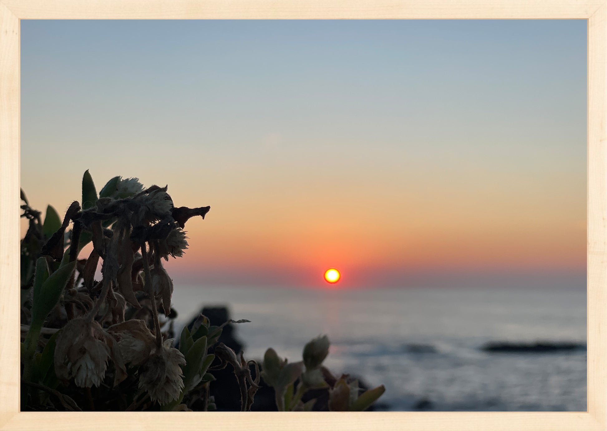 Sunbound