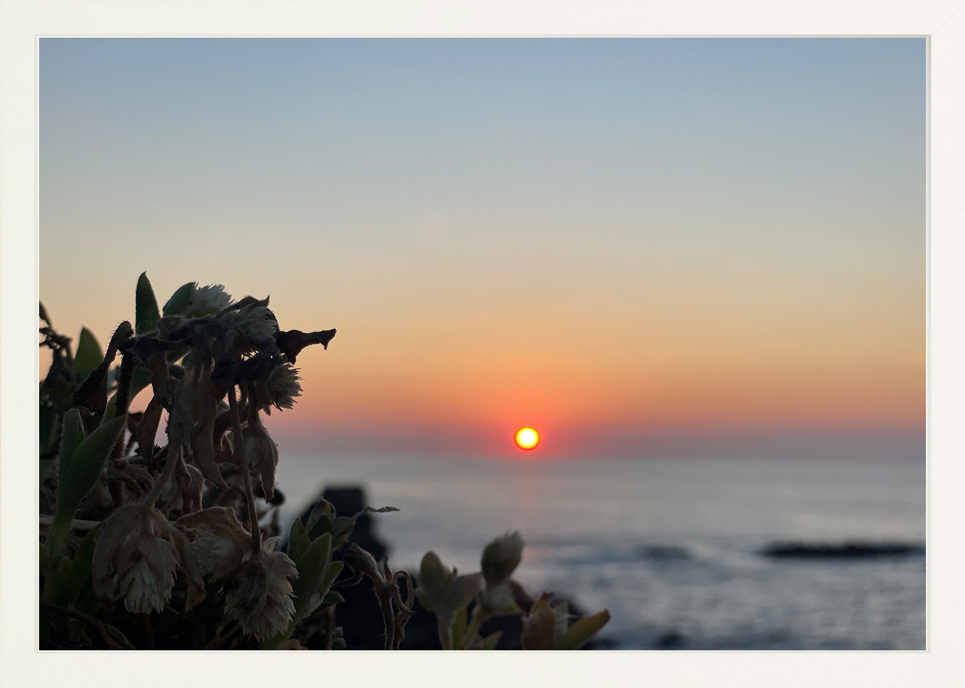 Sunbound