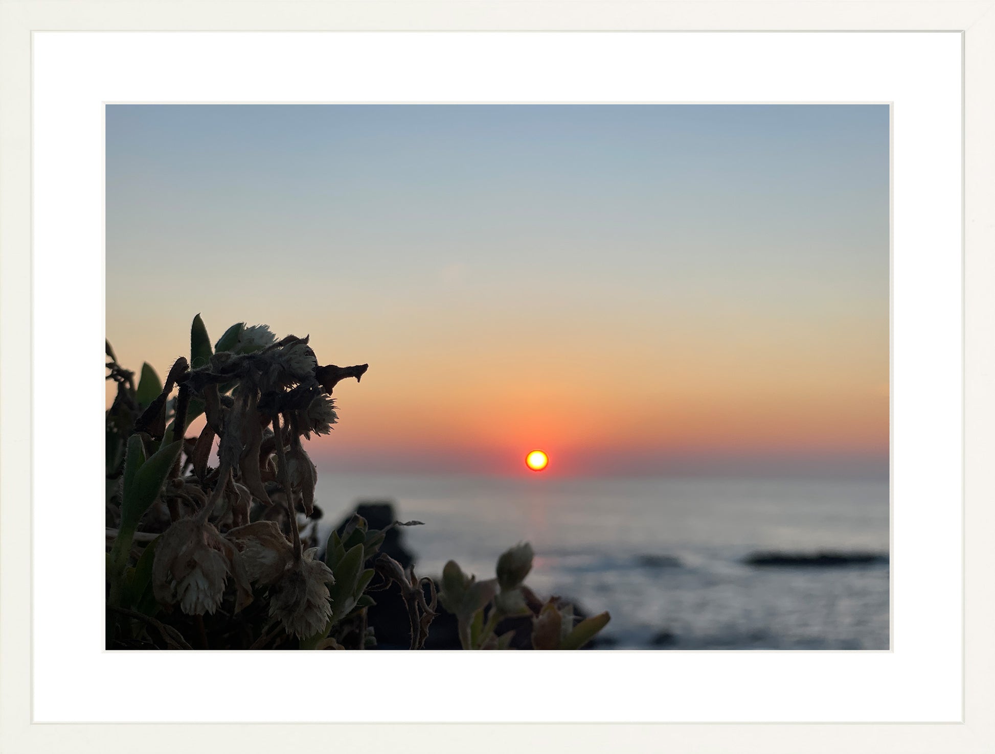 Sunbound