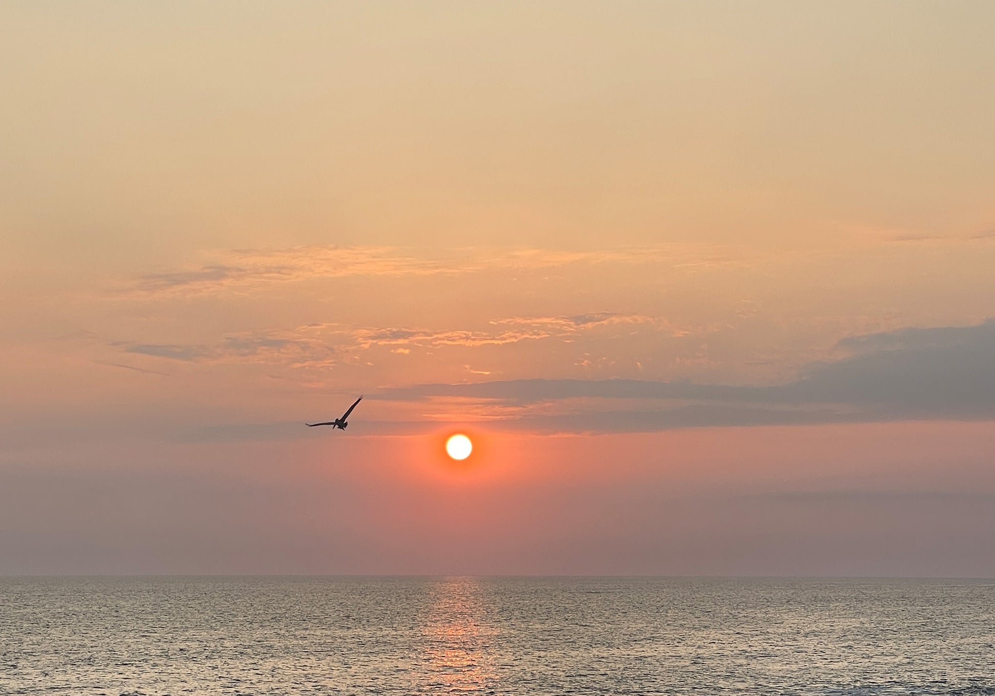 Flight