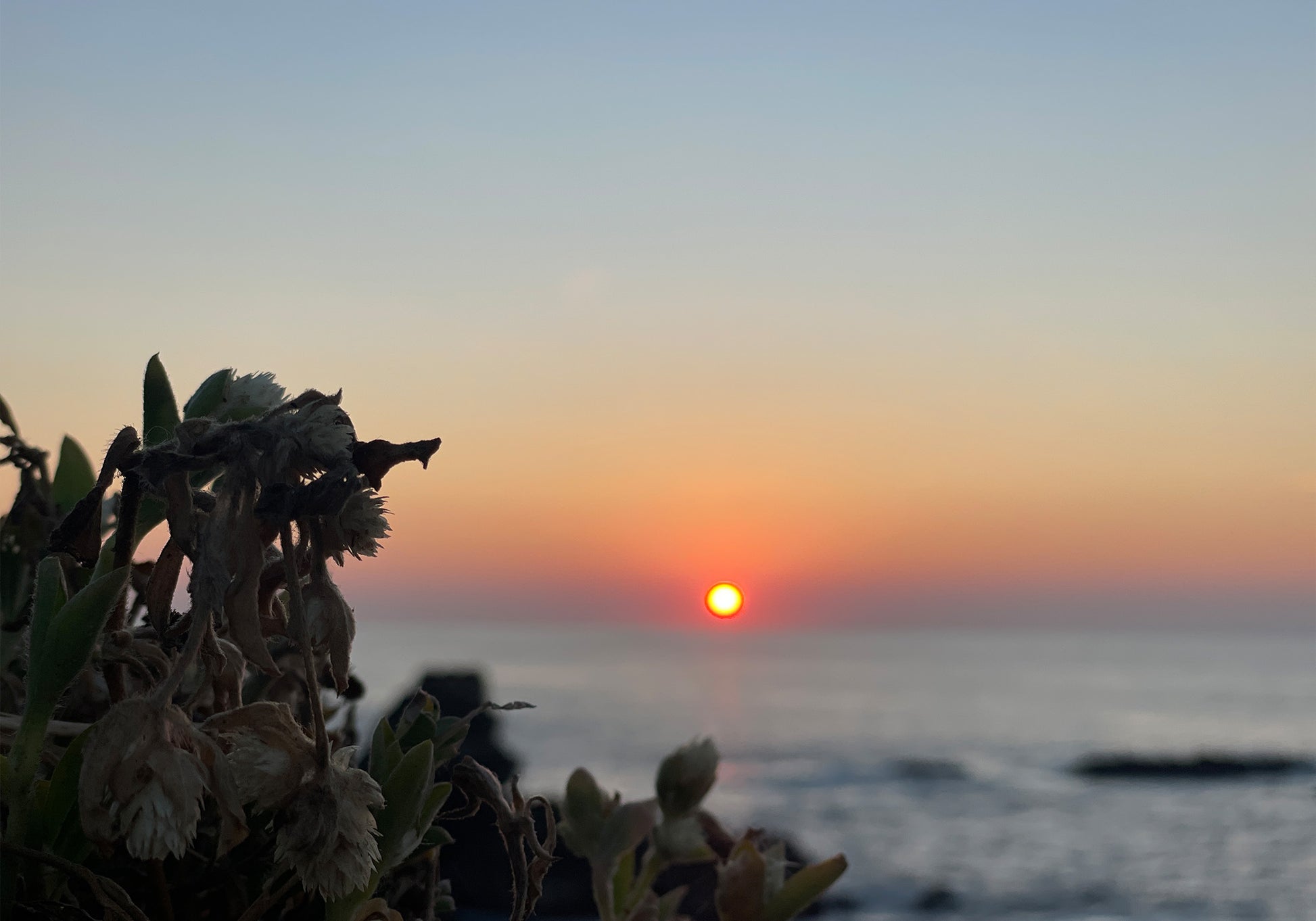 Sunbound