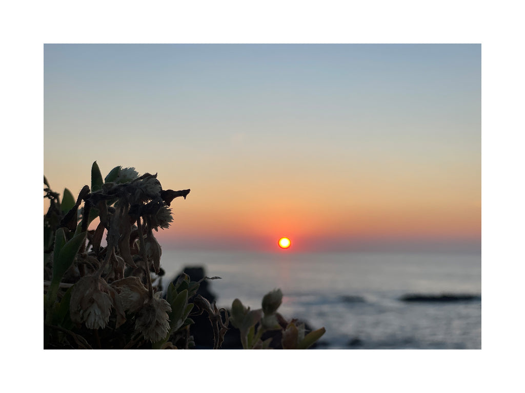 Sunbound