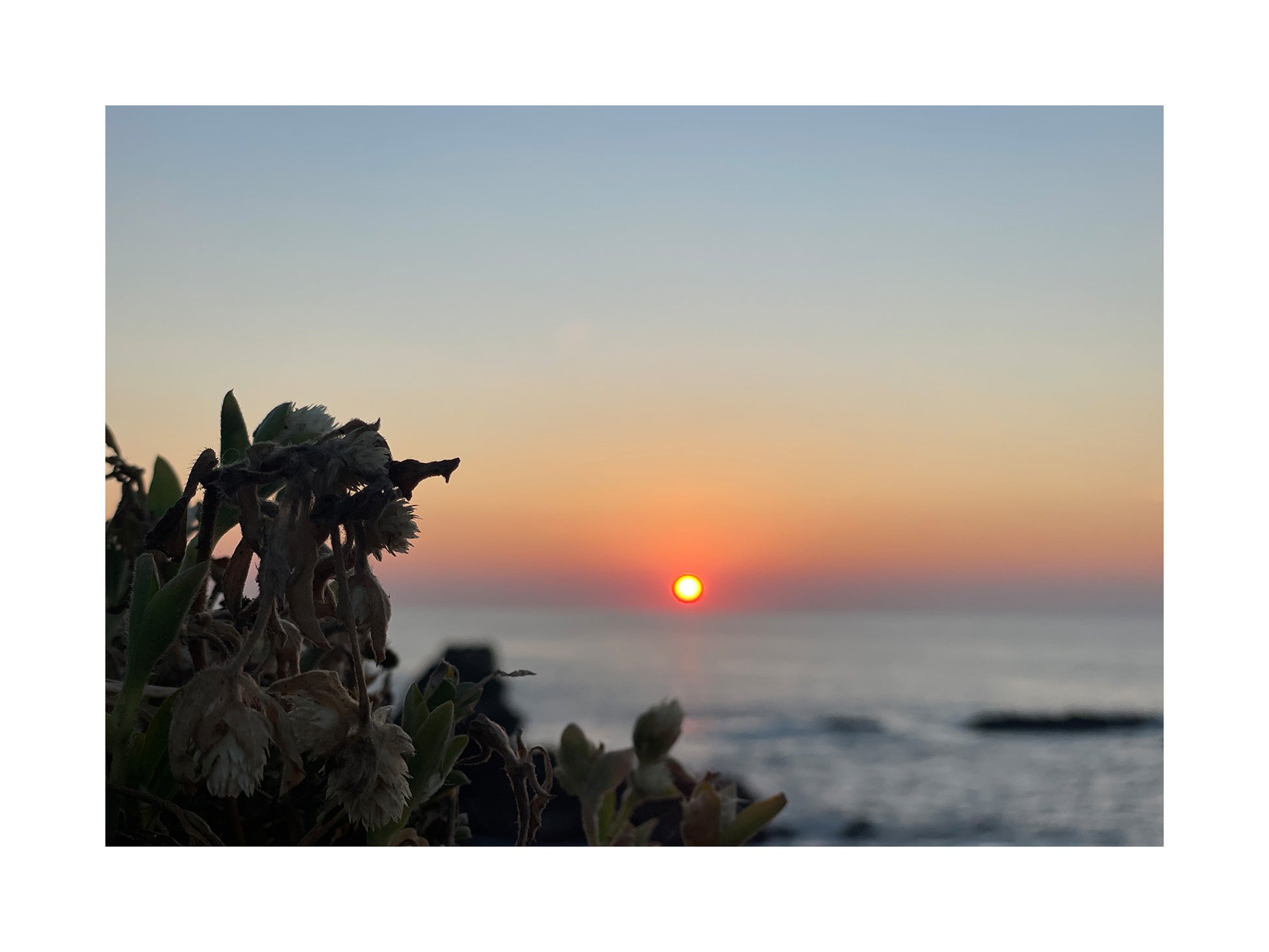 Sunbound