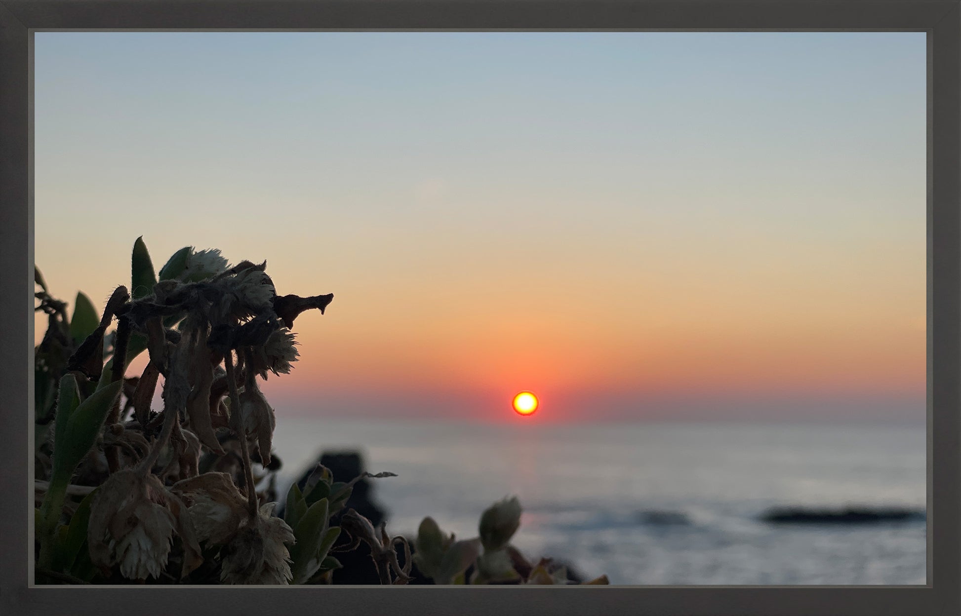 Sunbound