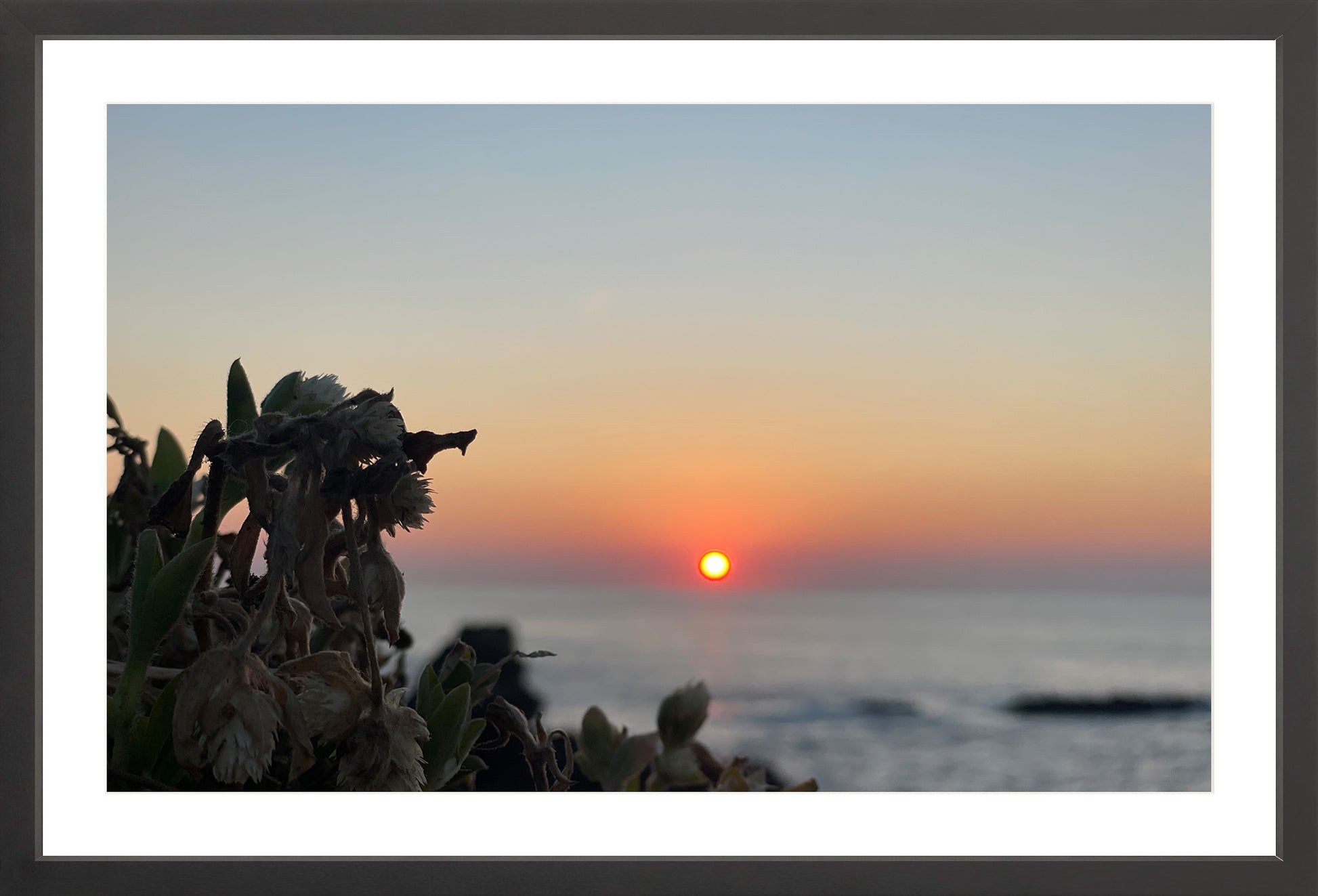 Sunbound