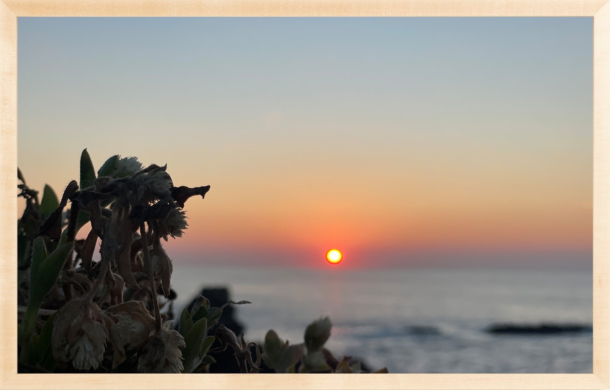 Sunbound
