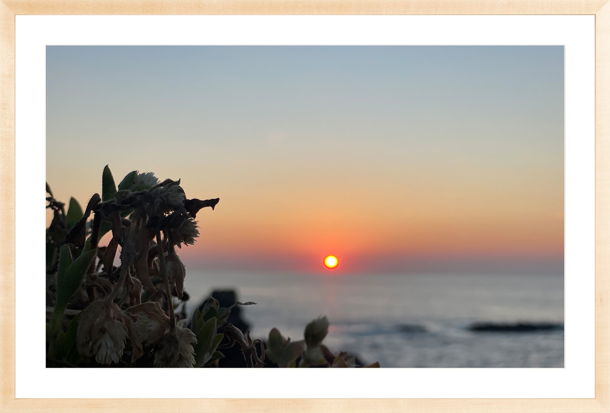 Sunbound