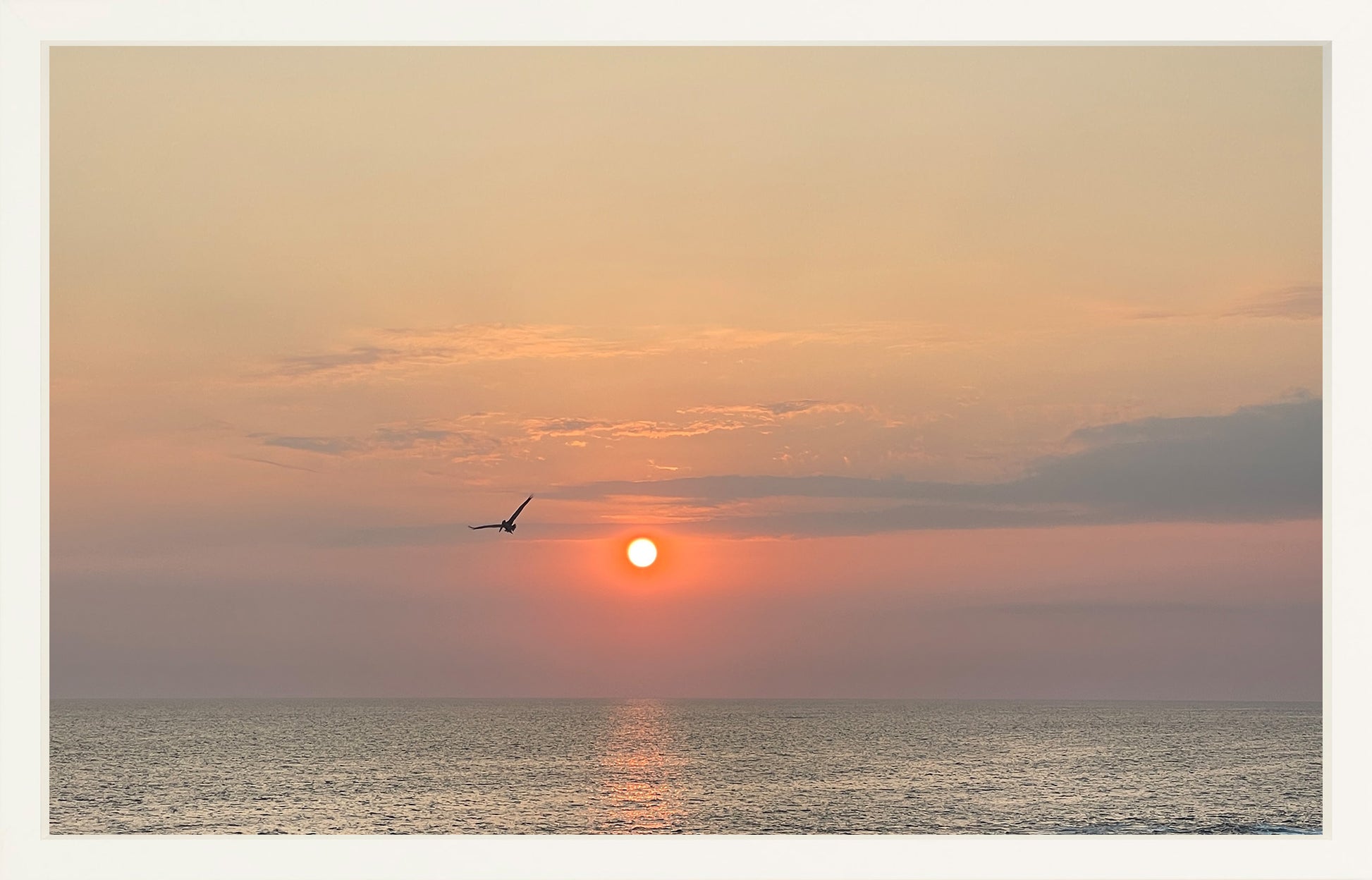 Flight