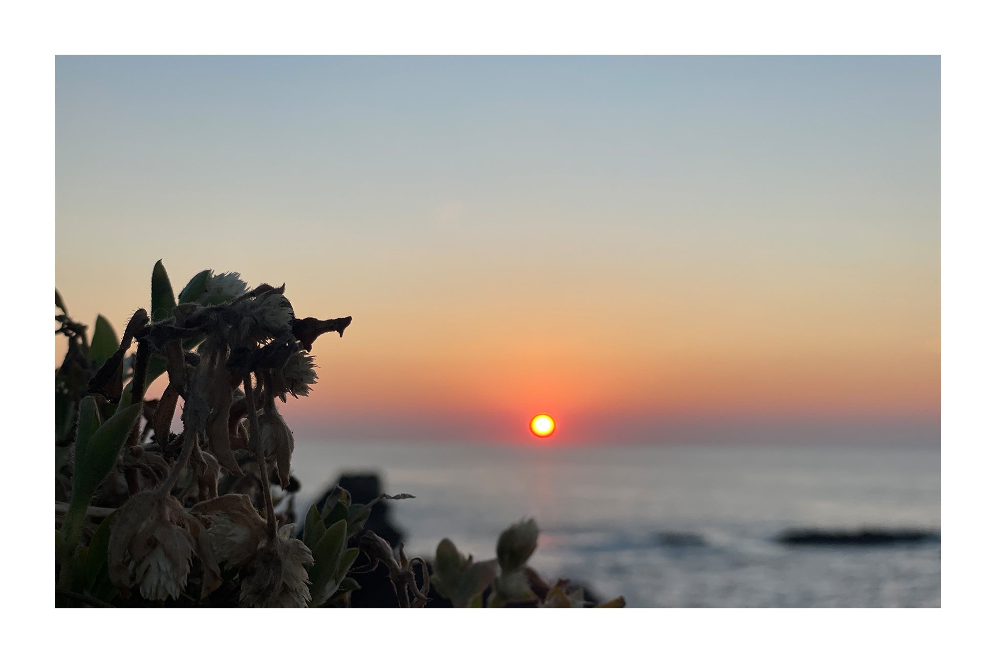 Sunbound