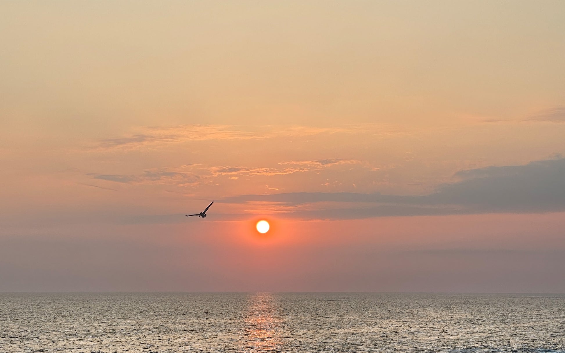 Flight