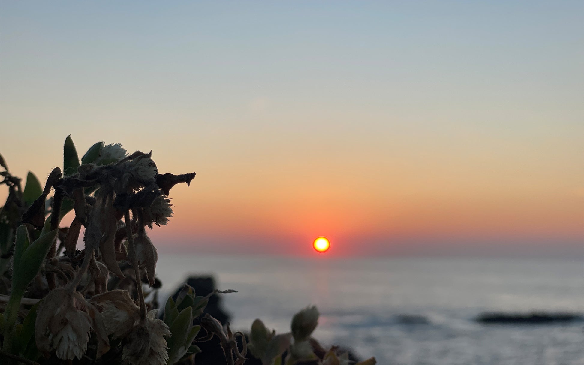 Sunbound