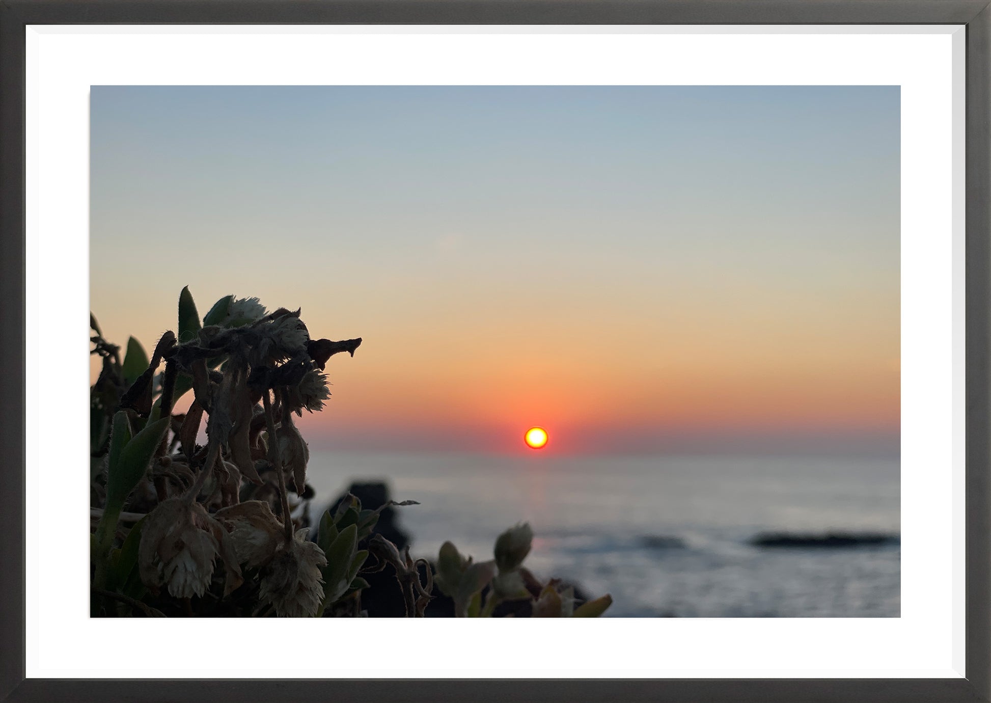 Sunbound