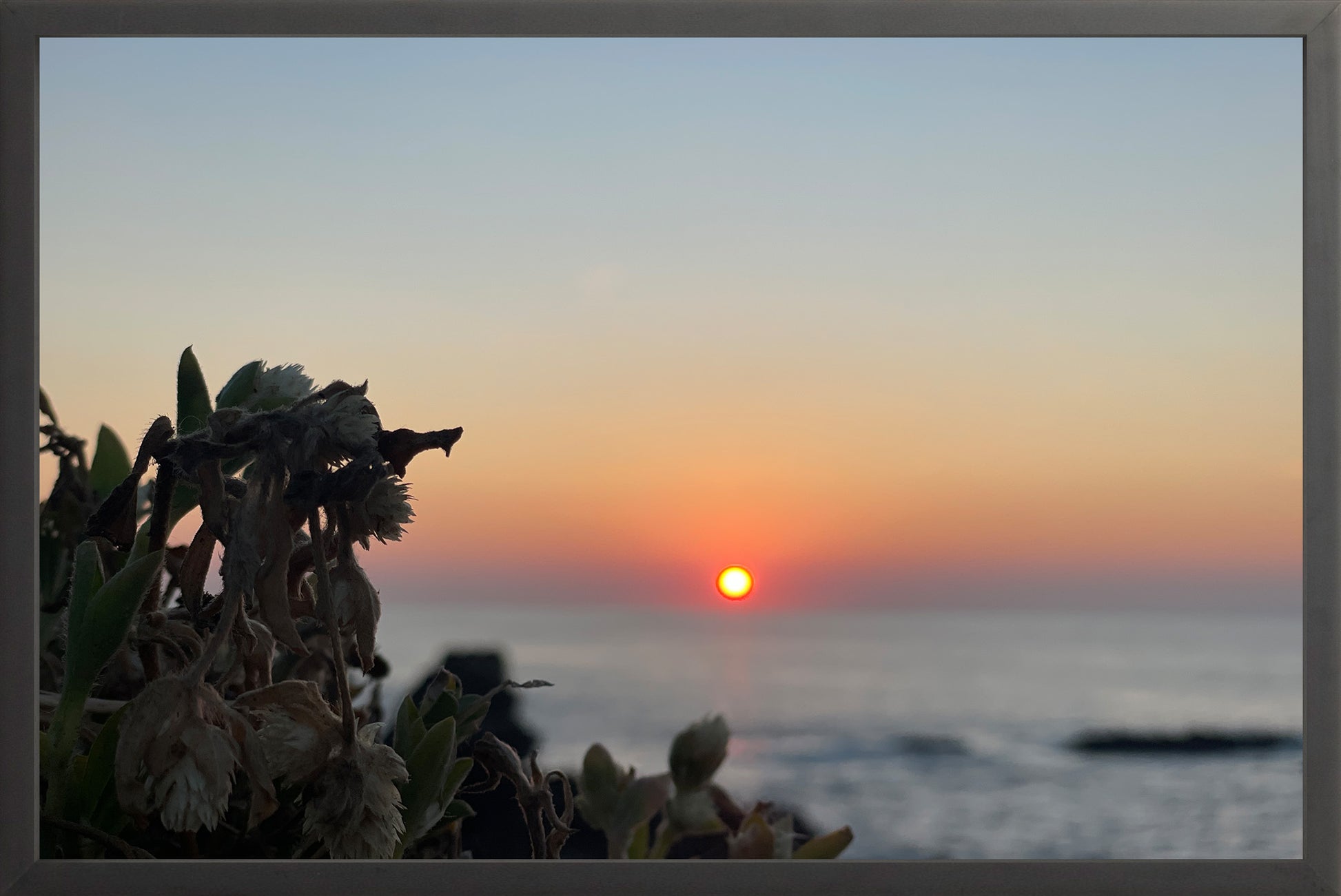 Sunbound