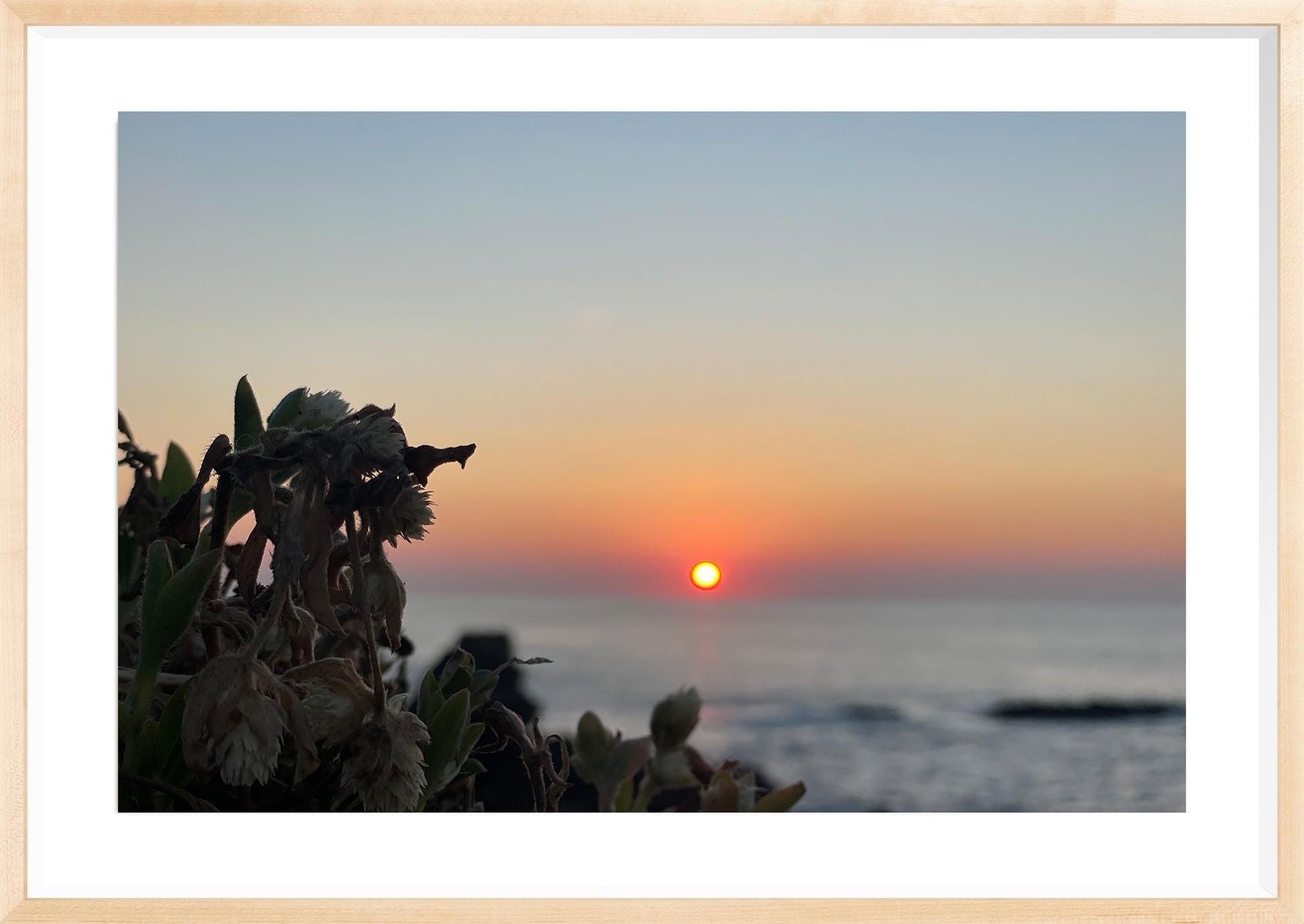 Sunbound