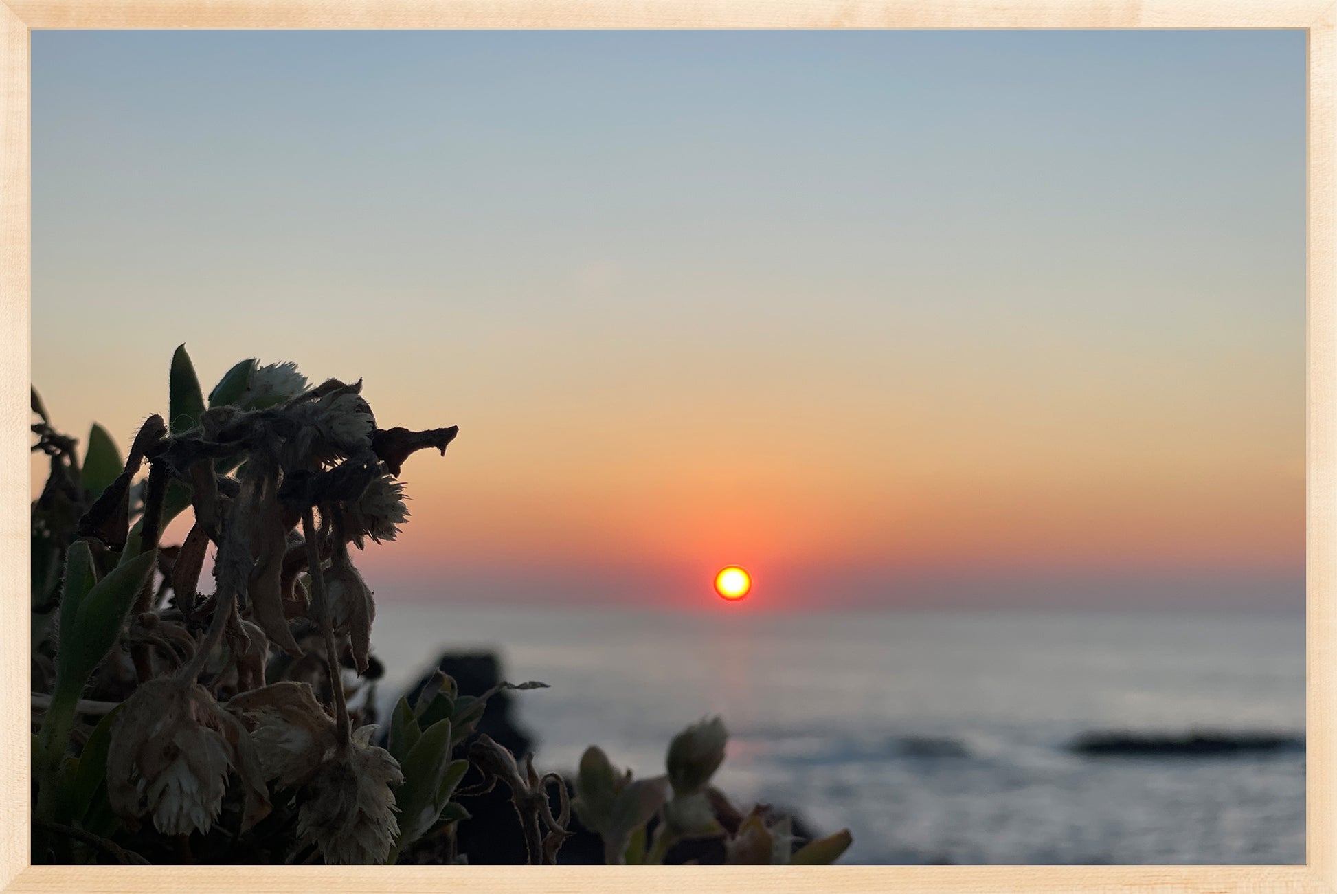 Sunbound