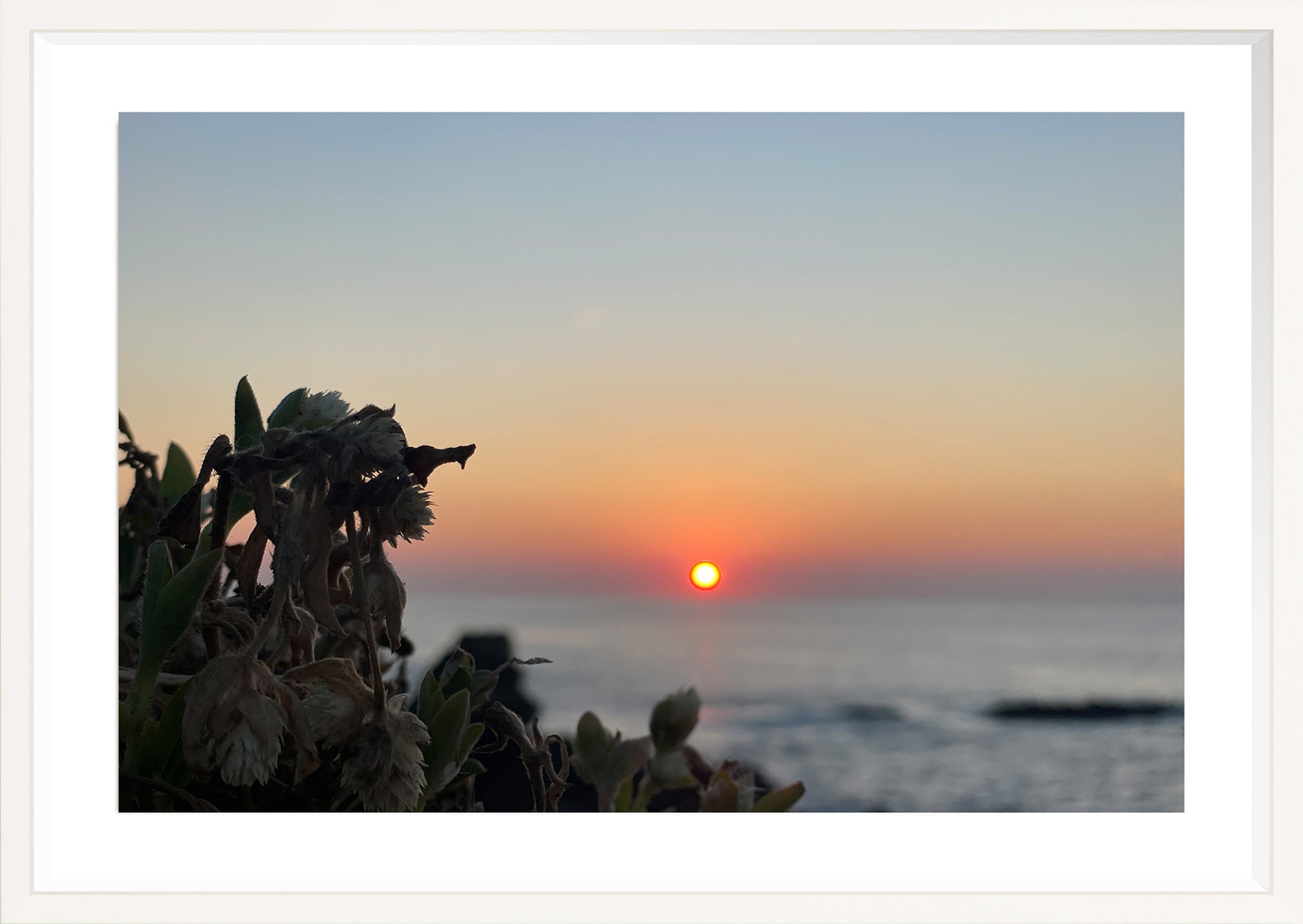 Sunbound