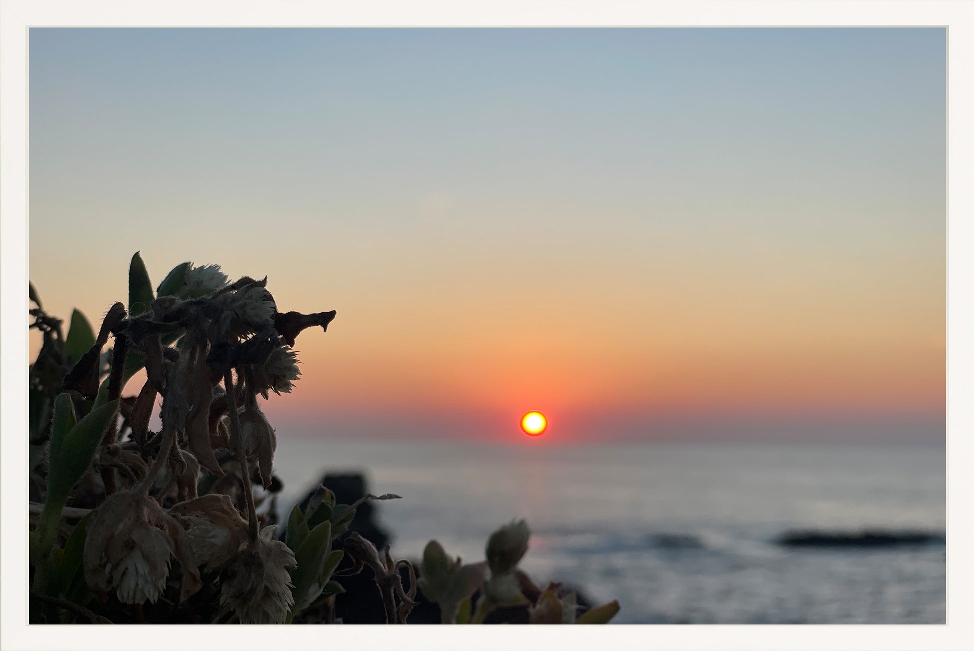 Sunbound