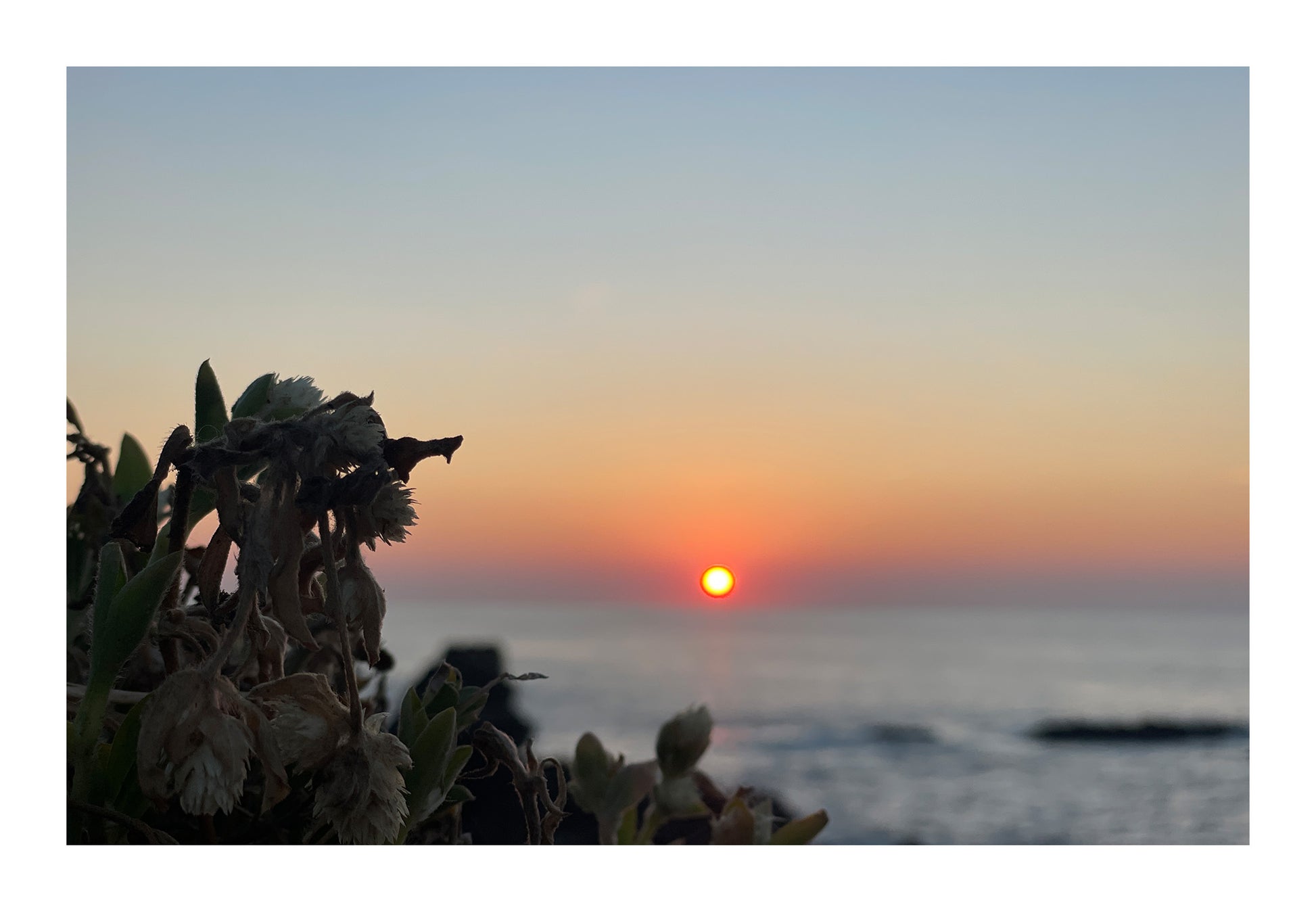 Sunbound