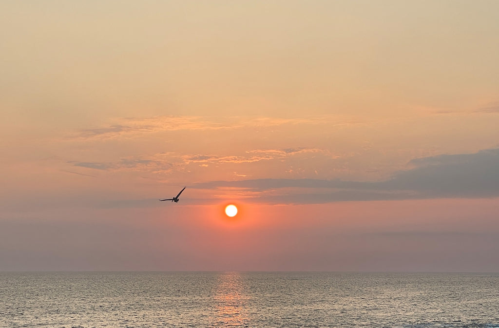 Flight