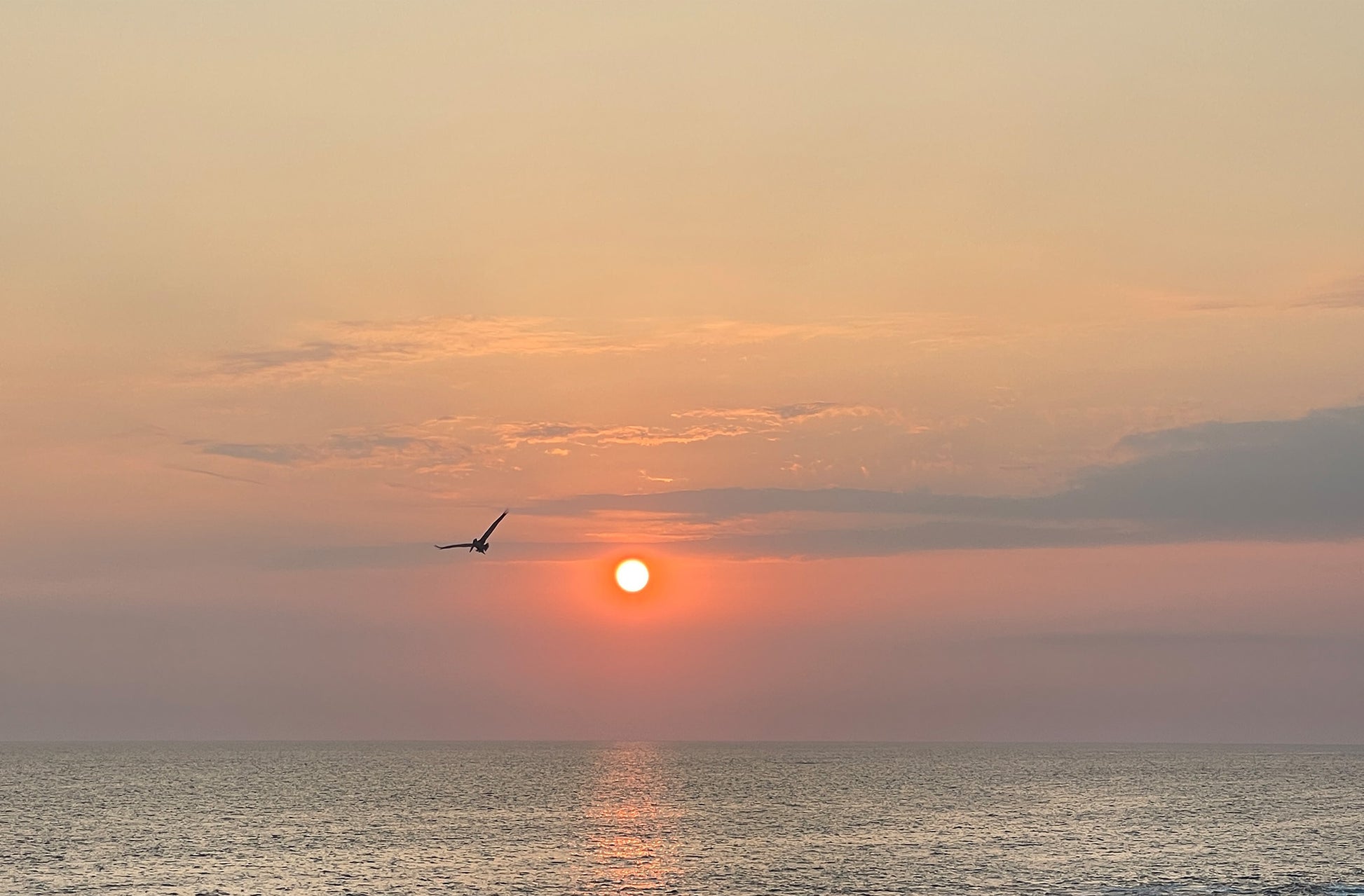 Flight