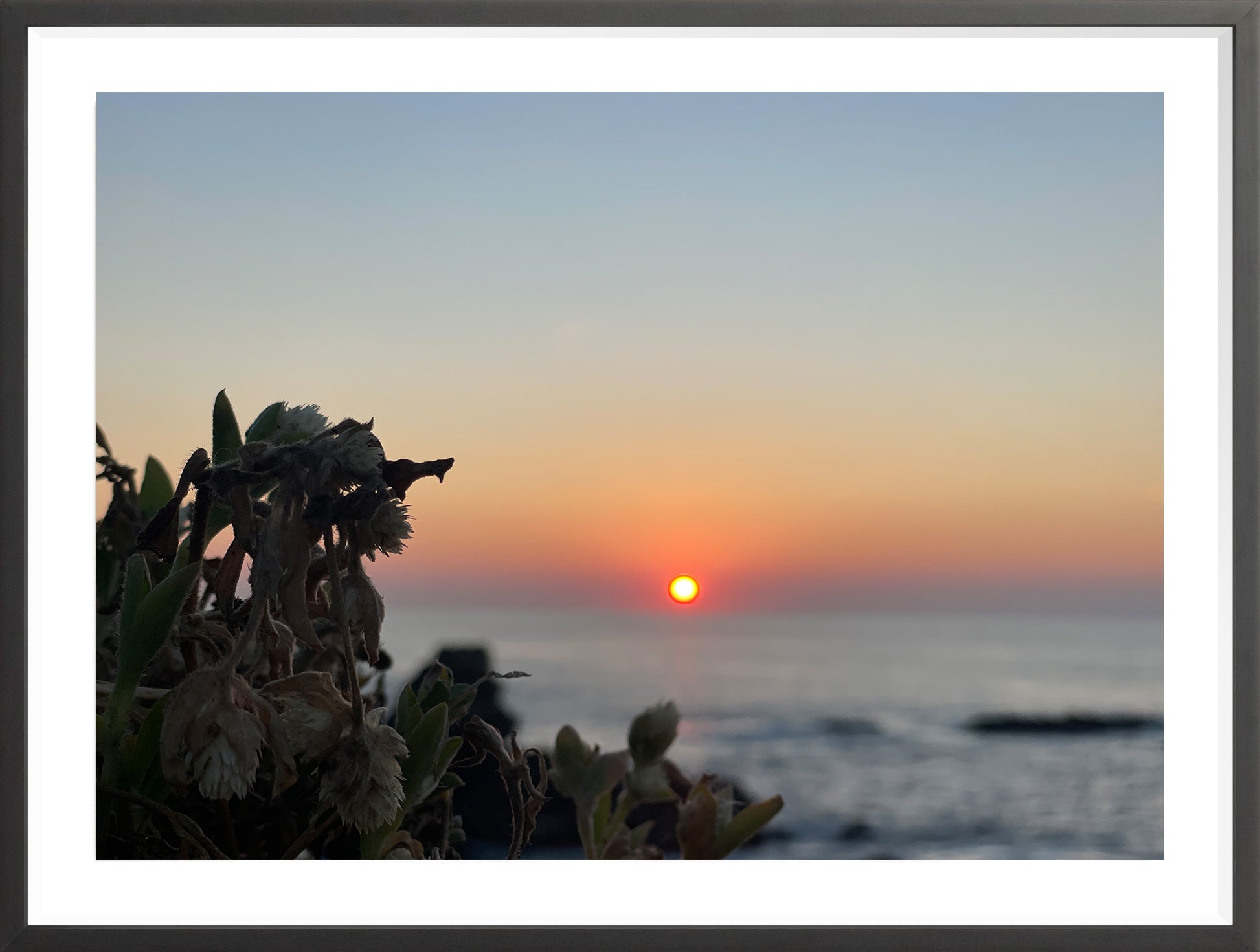 Sunbound