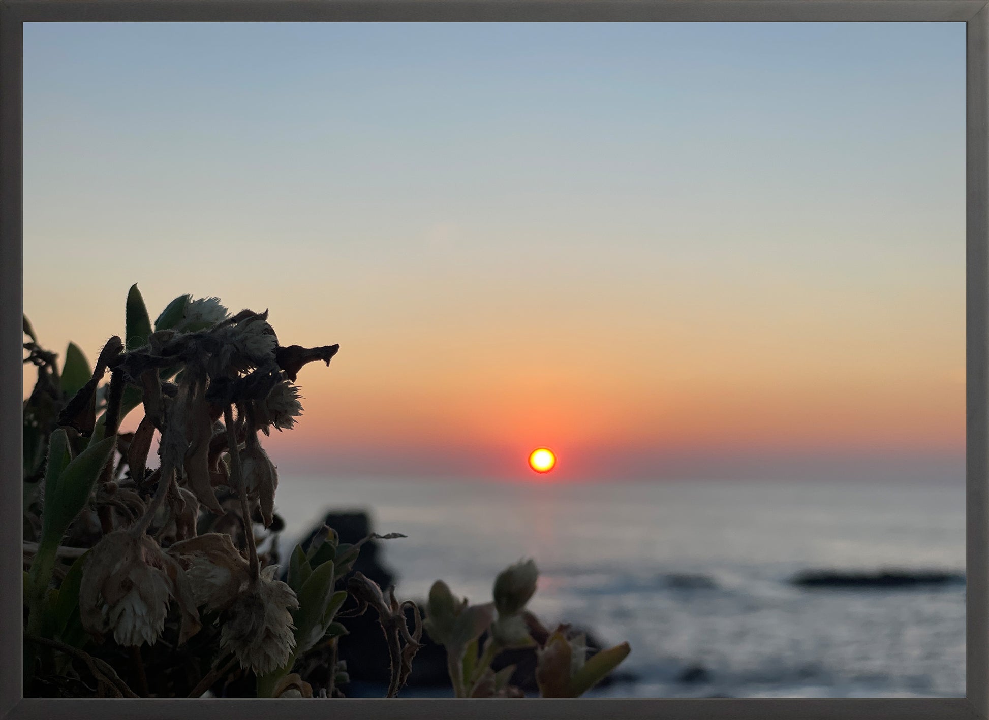 Sunbound