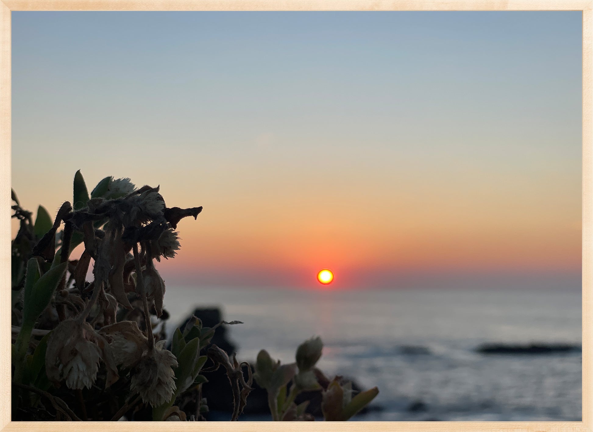 Sunbound