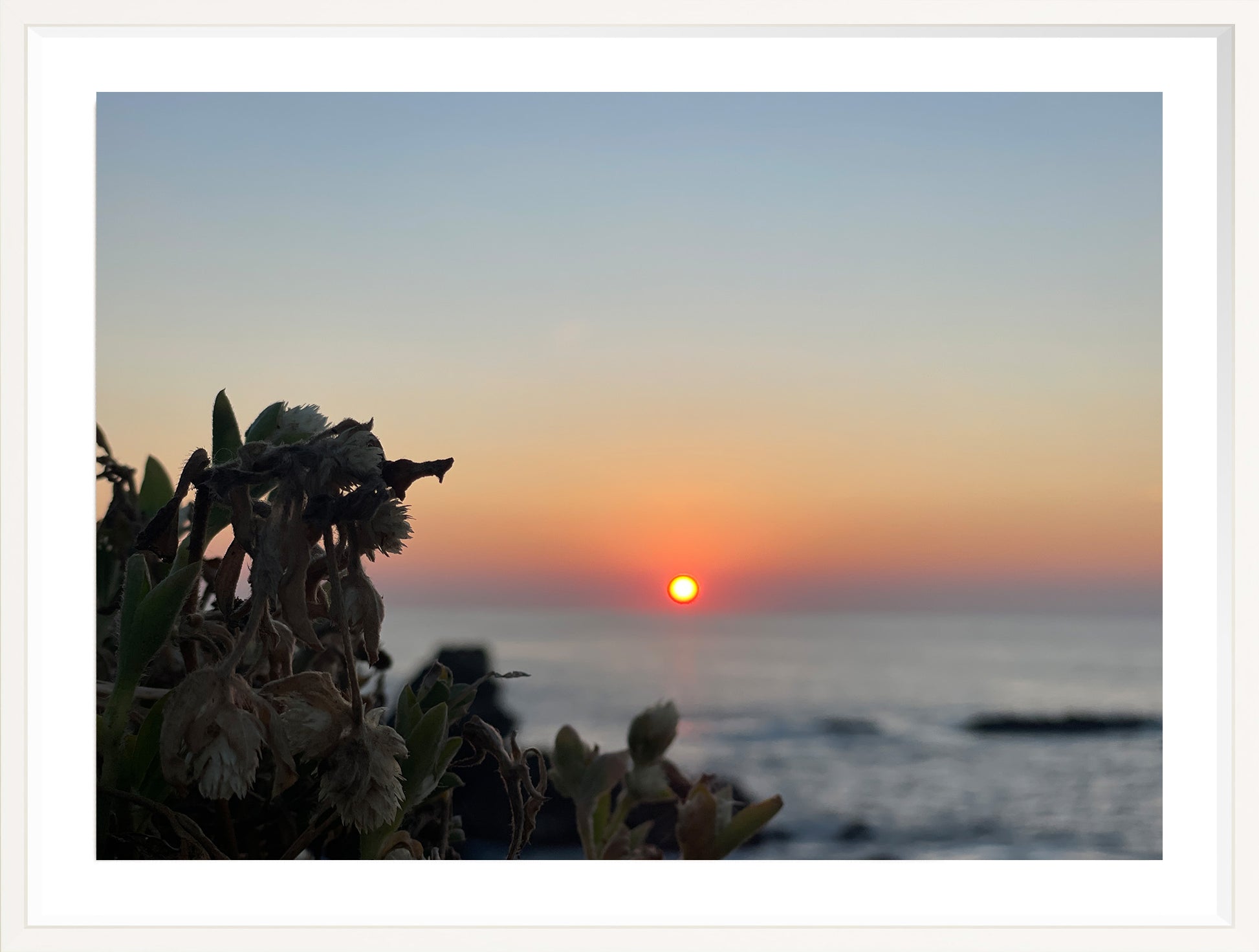 Sunbound