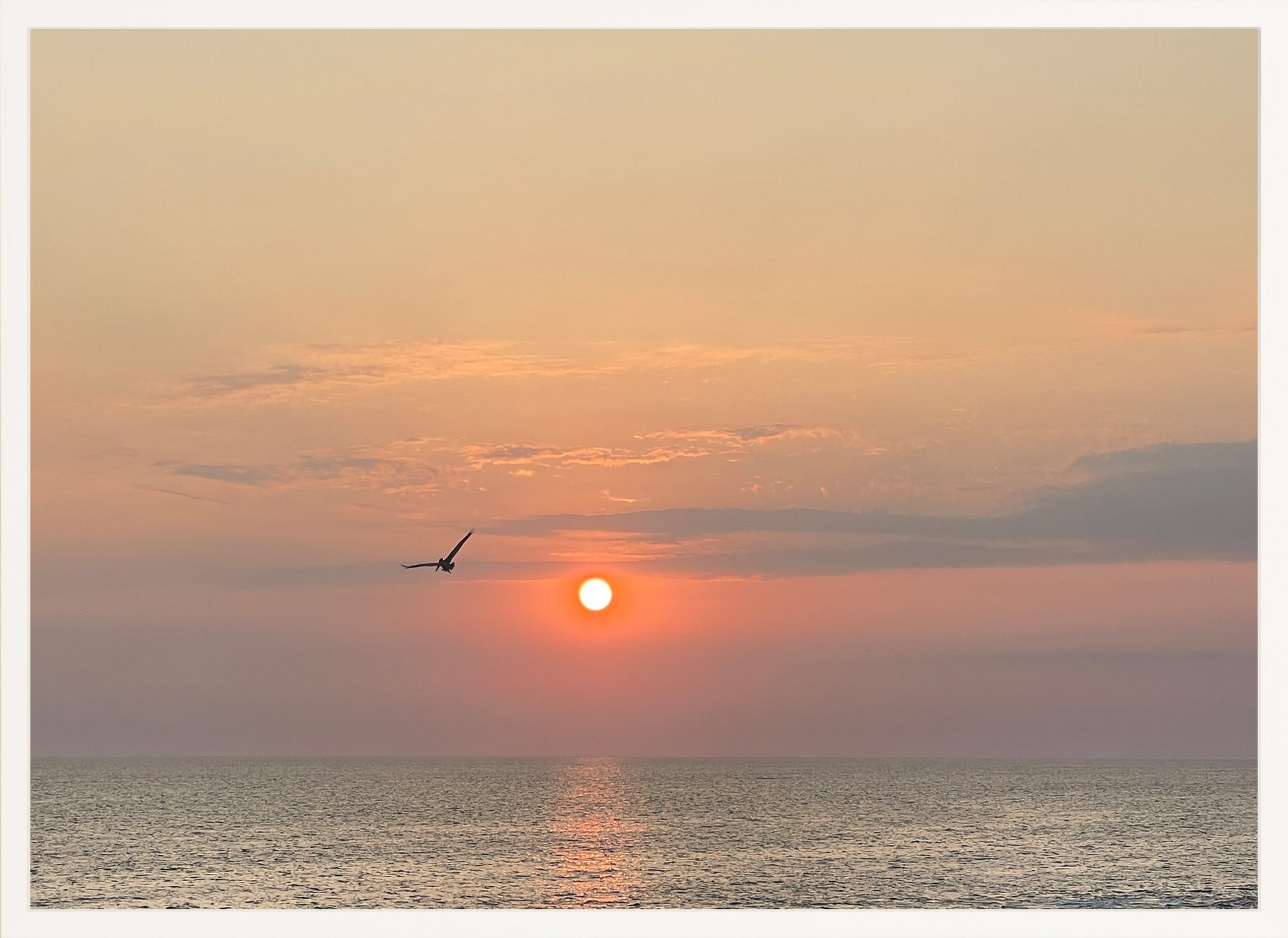 Flight