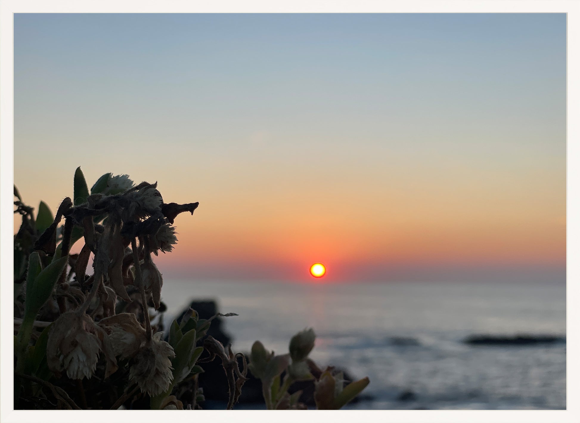 Sunbound