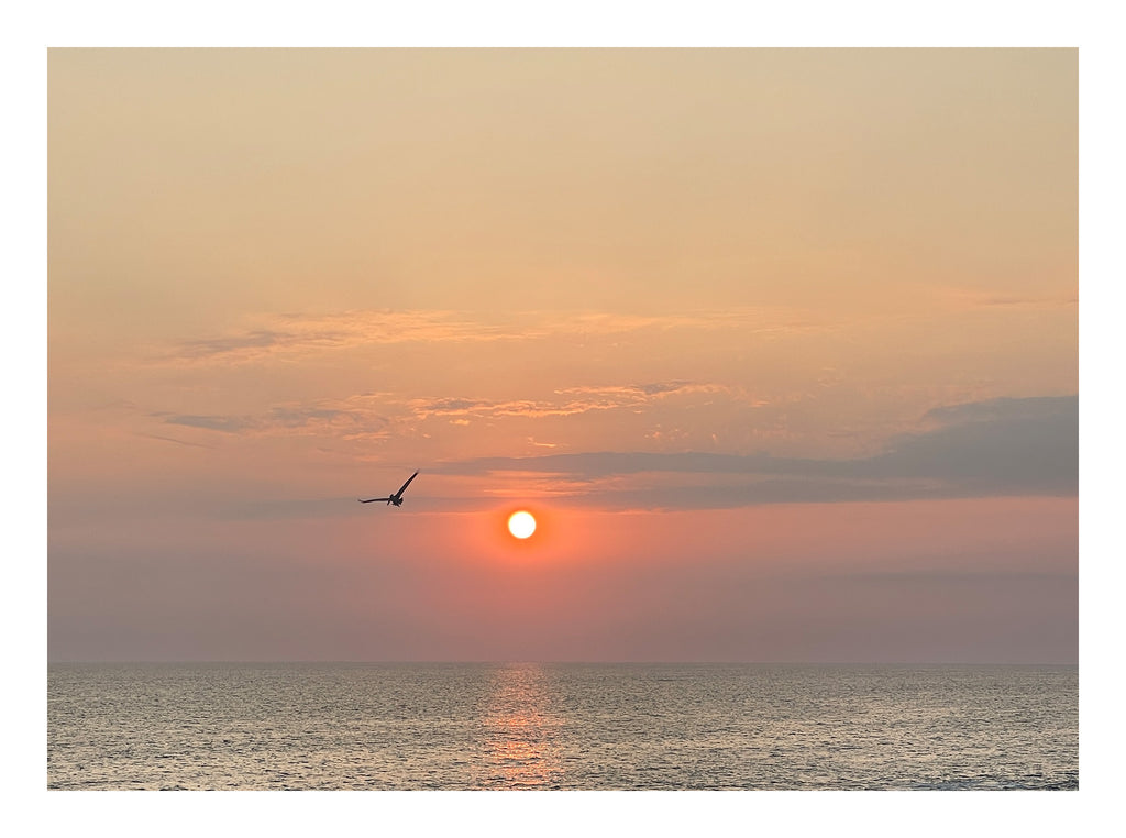 Flight