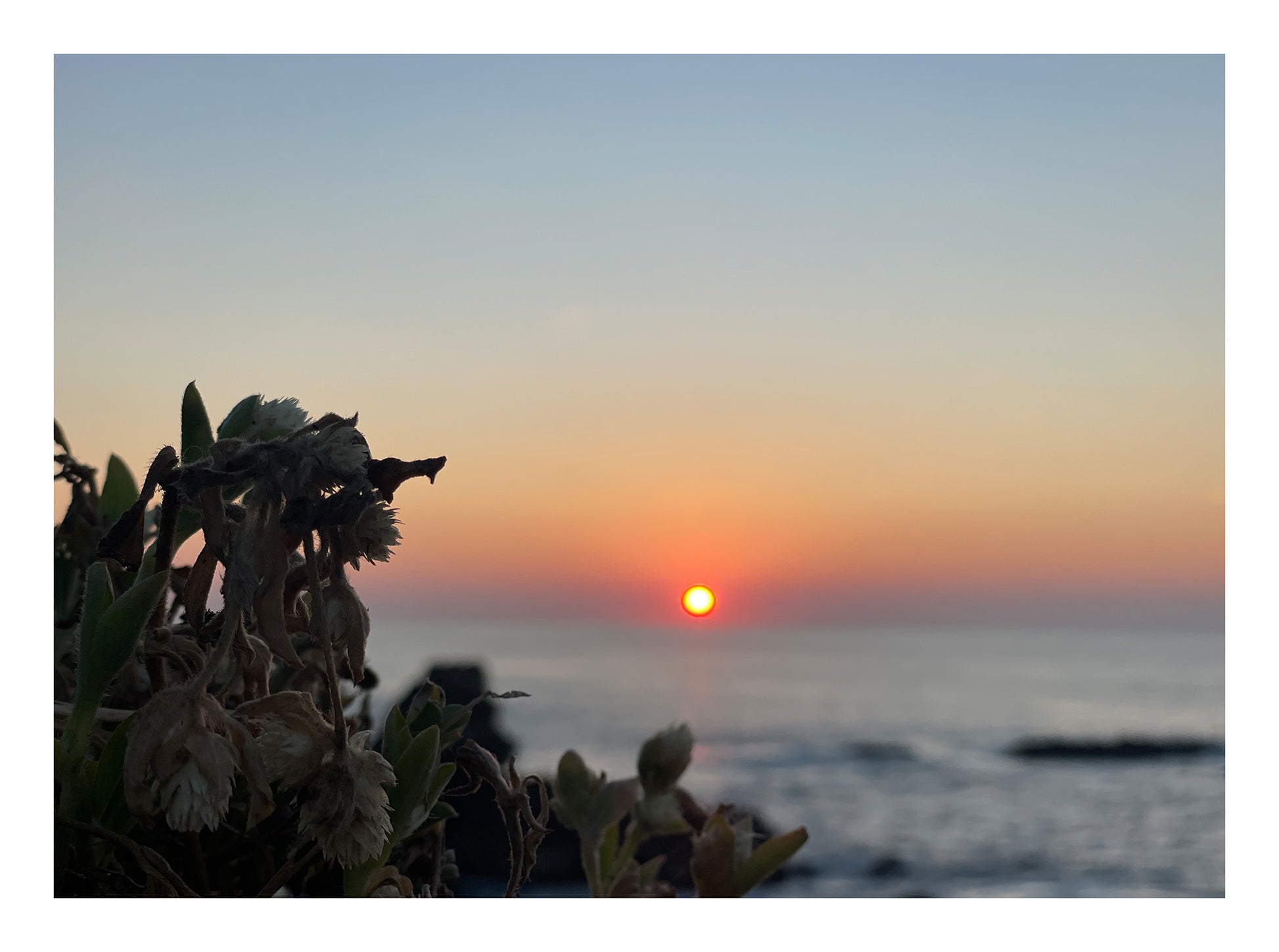 Sunbound