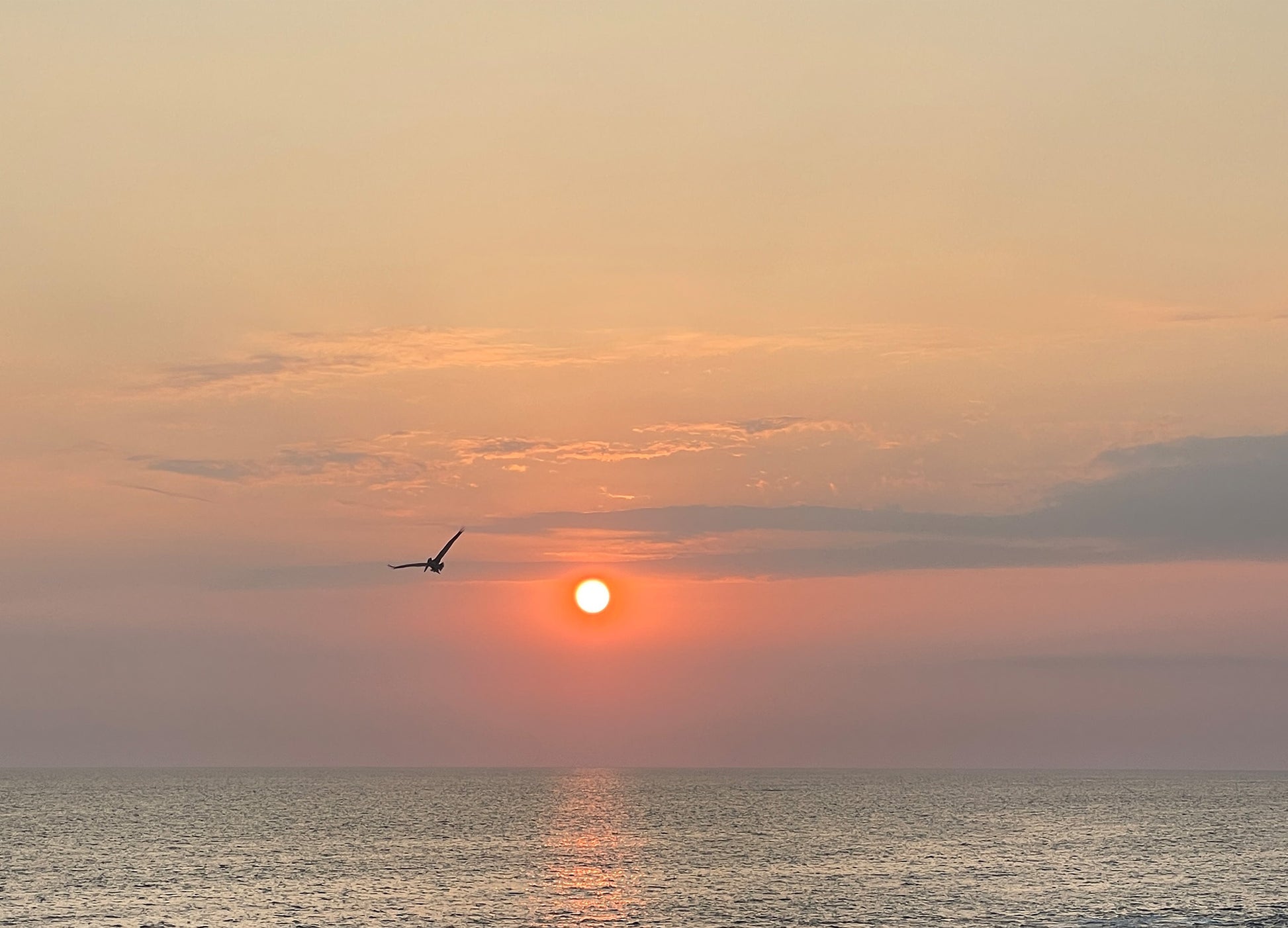 Flight