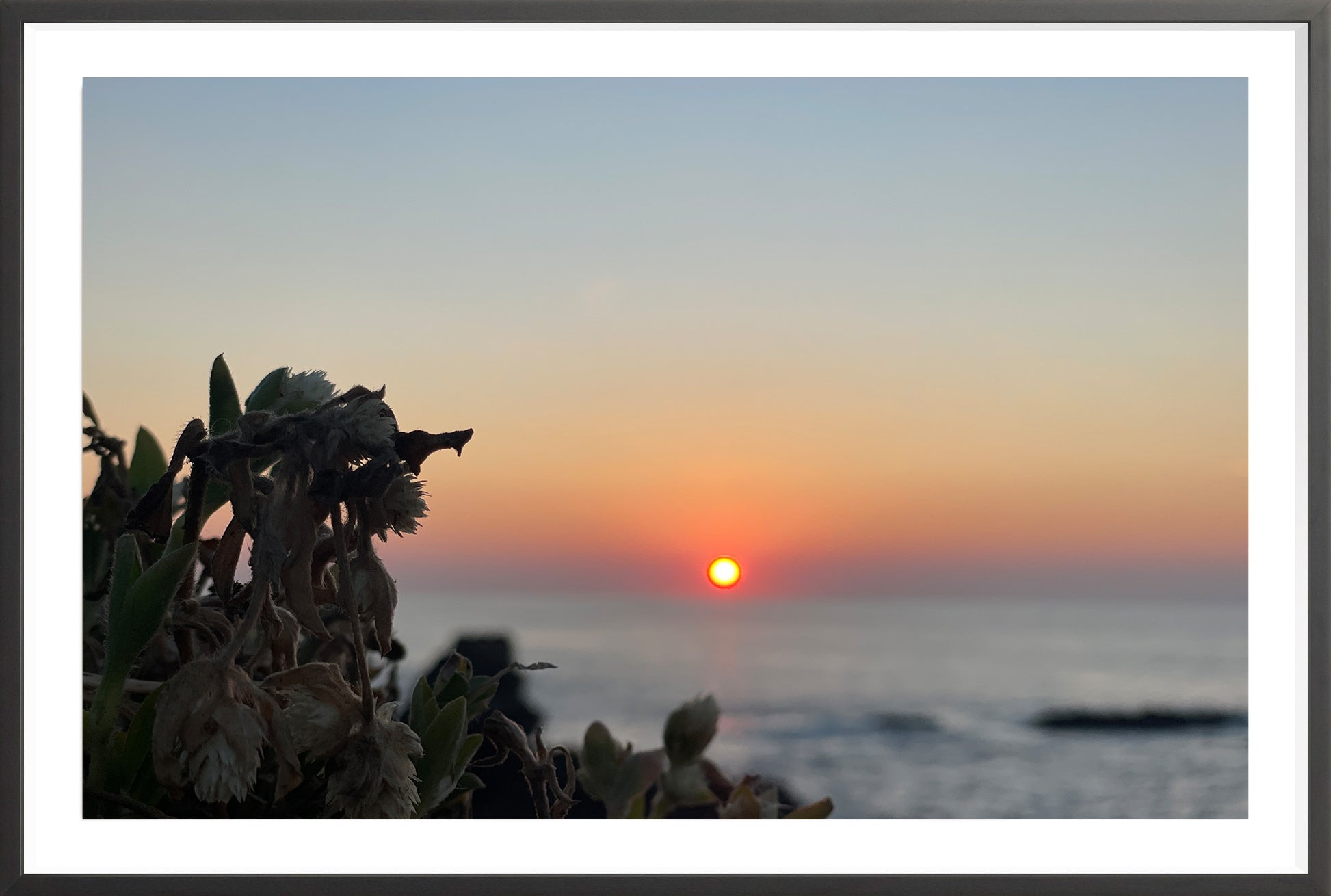 Sunbound