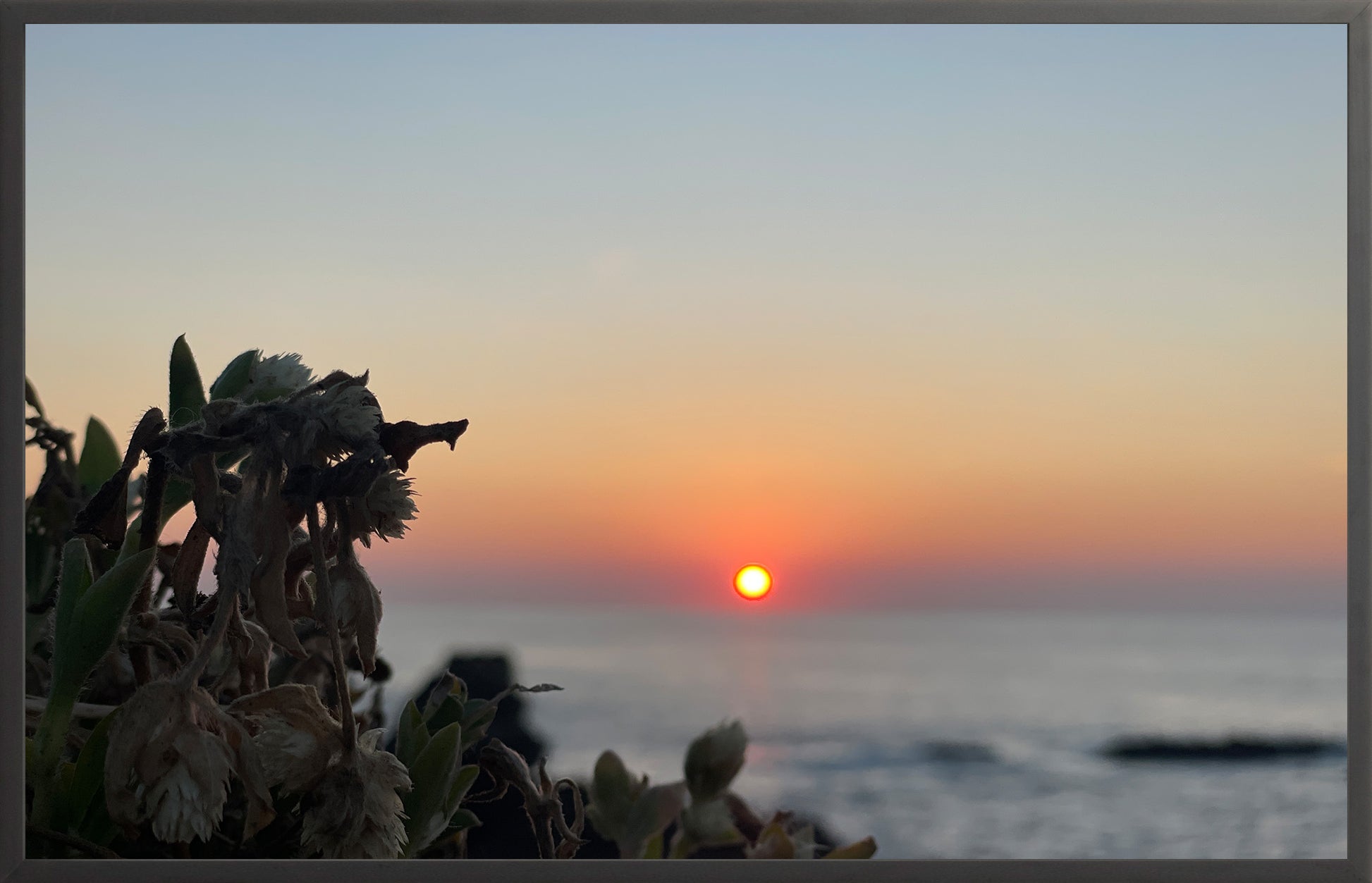 Sunbound