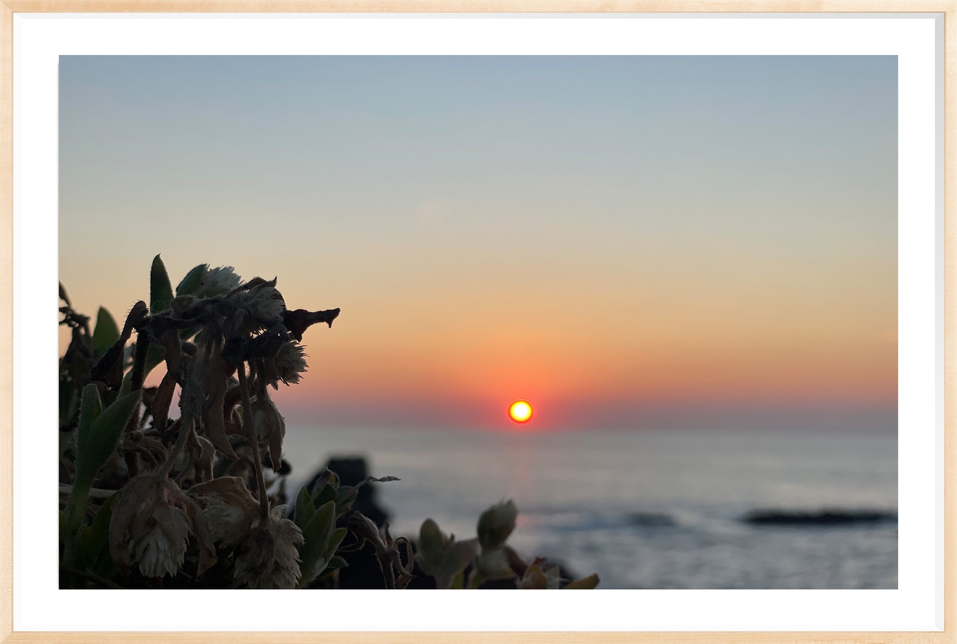 Sunbound