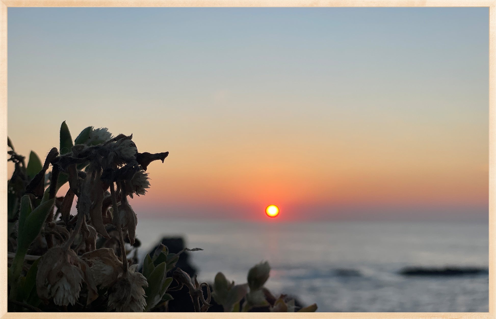 Sunbound