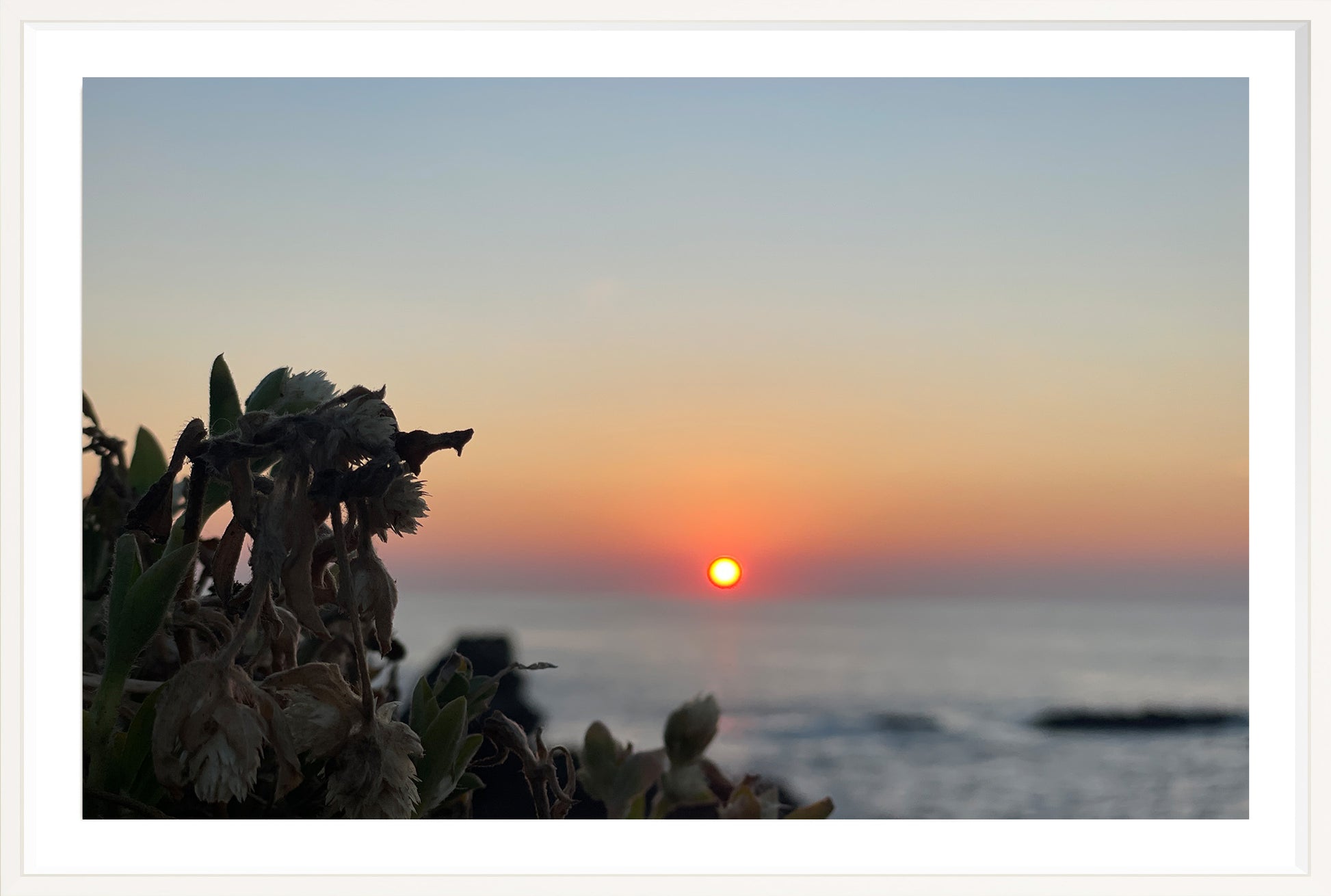 Sunbound