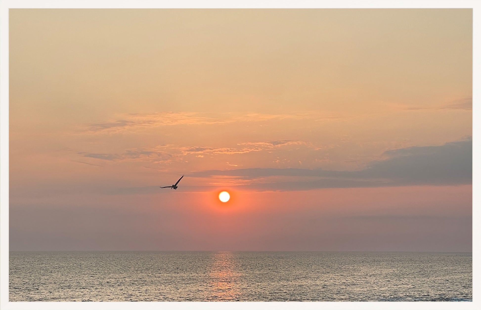 Flight
