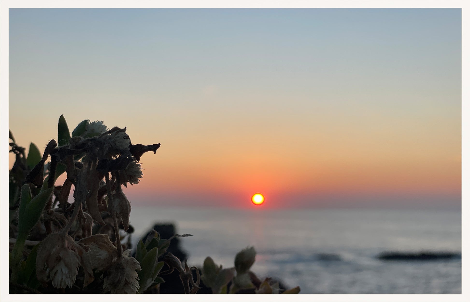 Sunbound