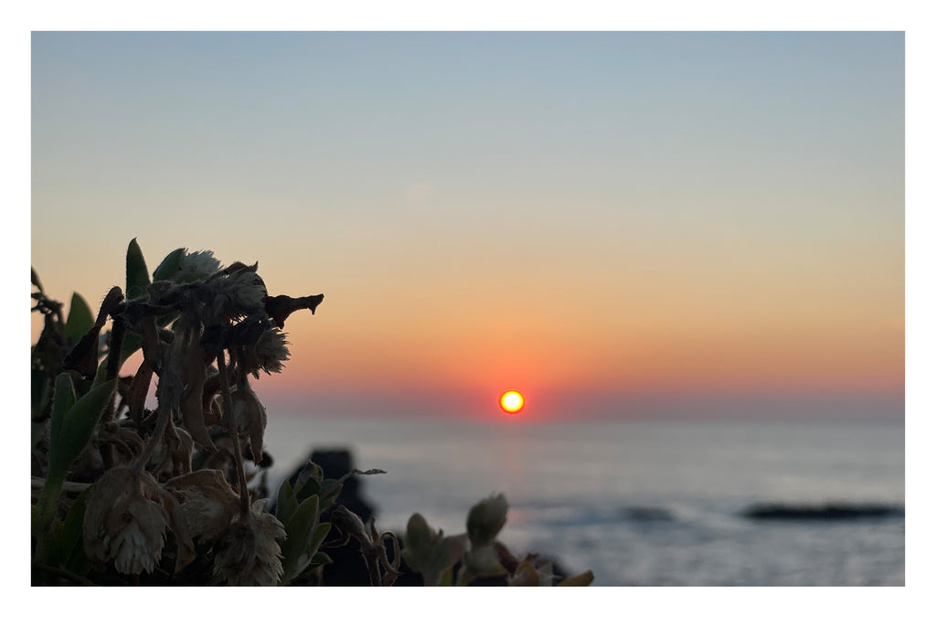 Sunbound